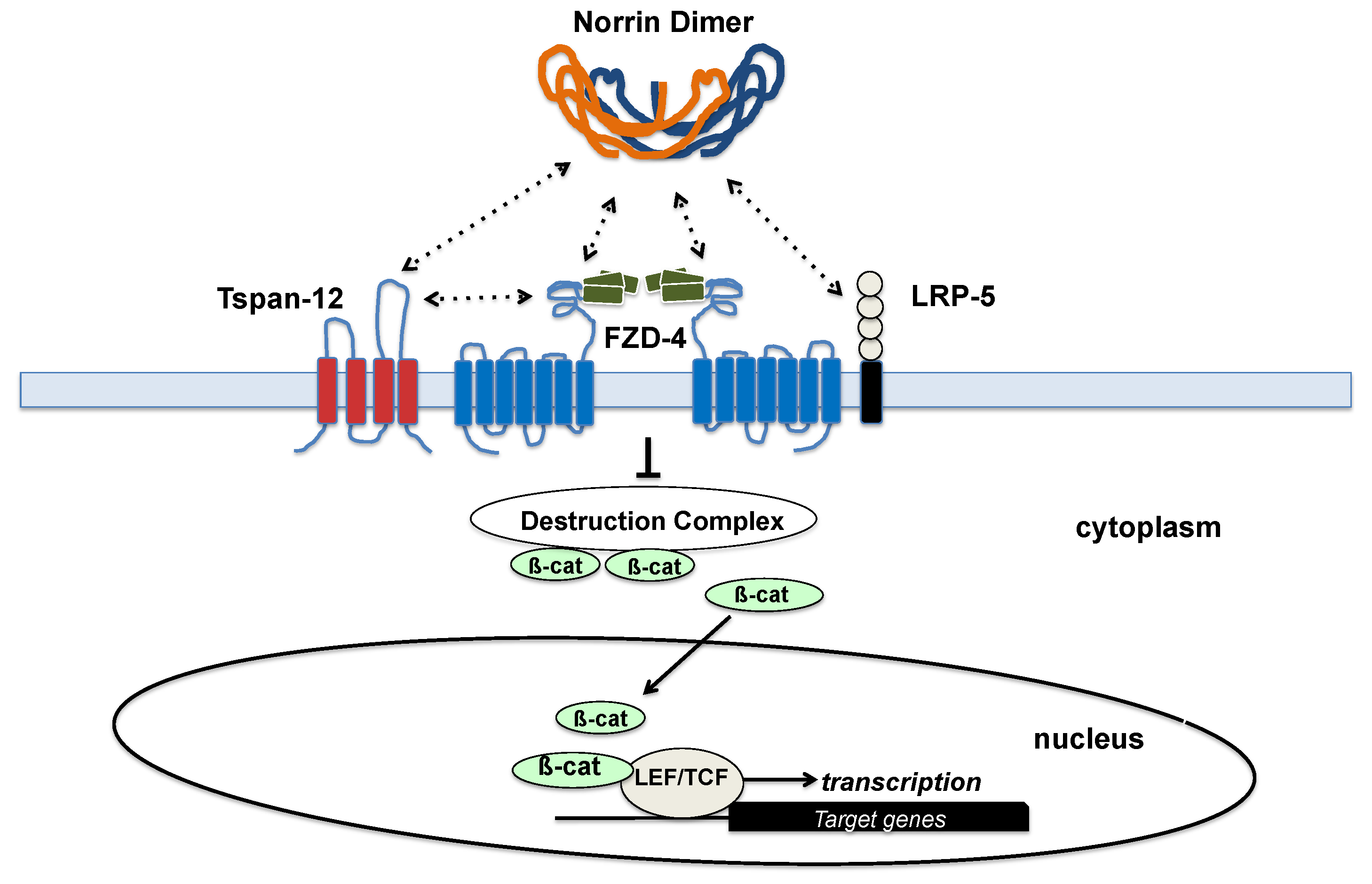 Preprints 88347 g005