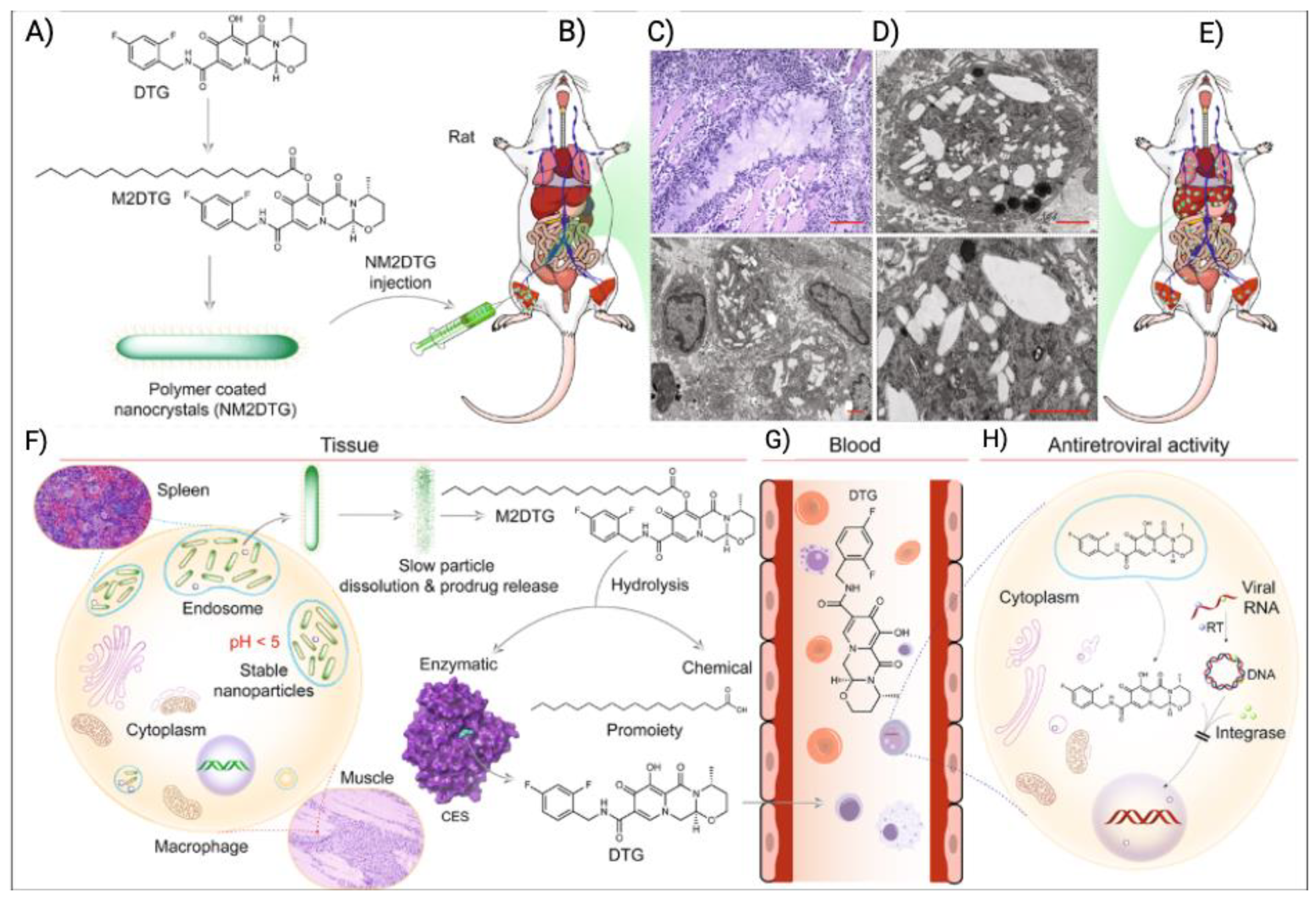 Preprints 97104 g007