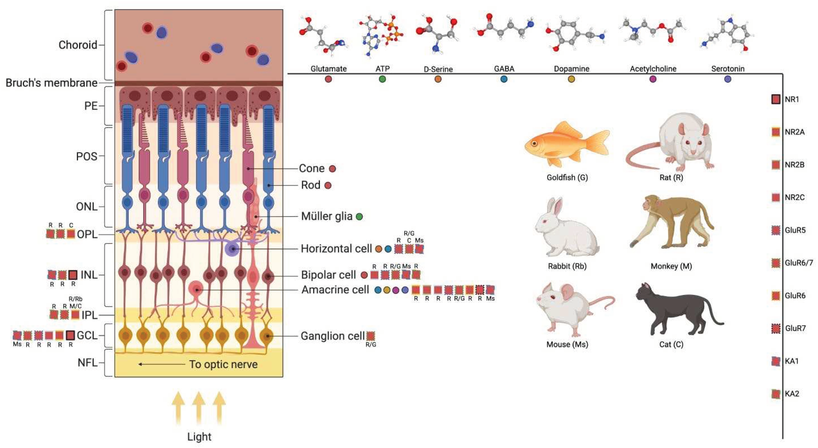 Preprints 95540 g001