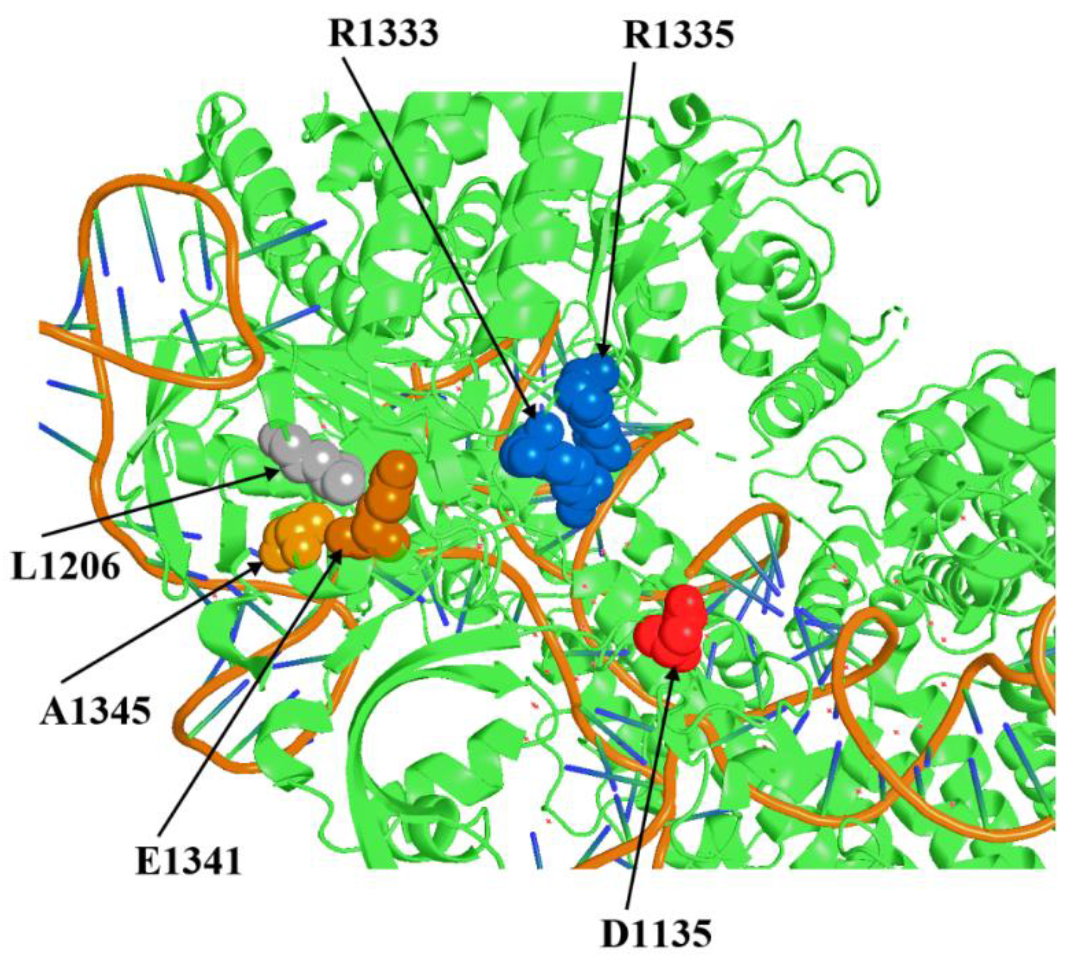 Preprints 92872 g001