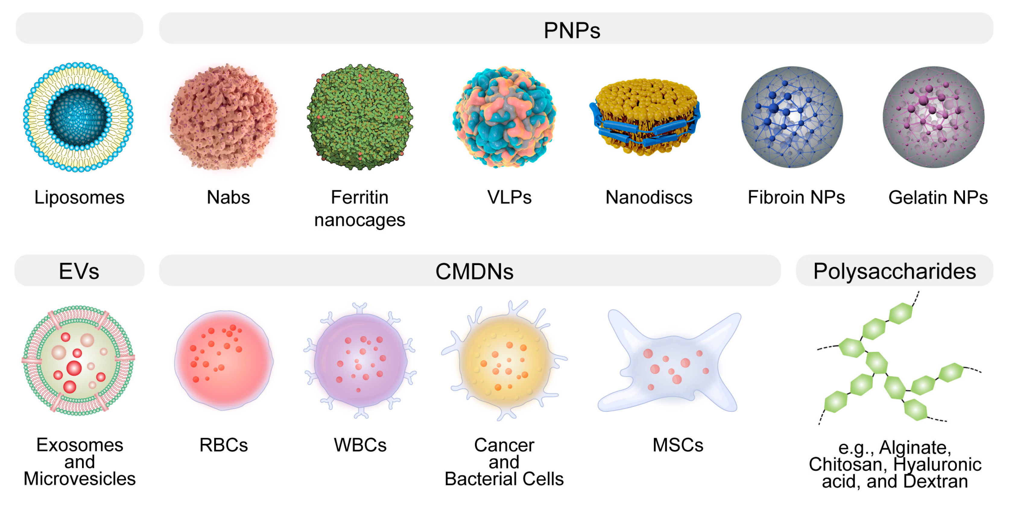 Preprints 86205 g002