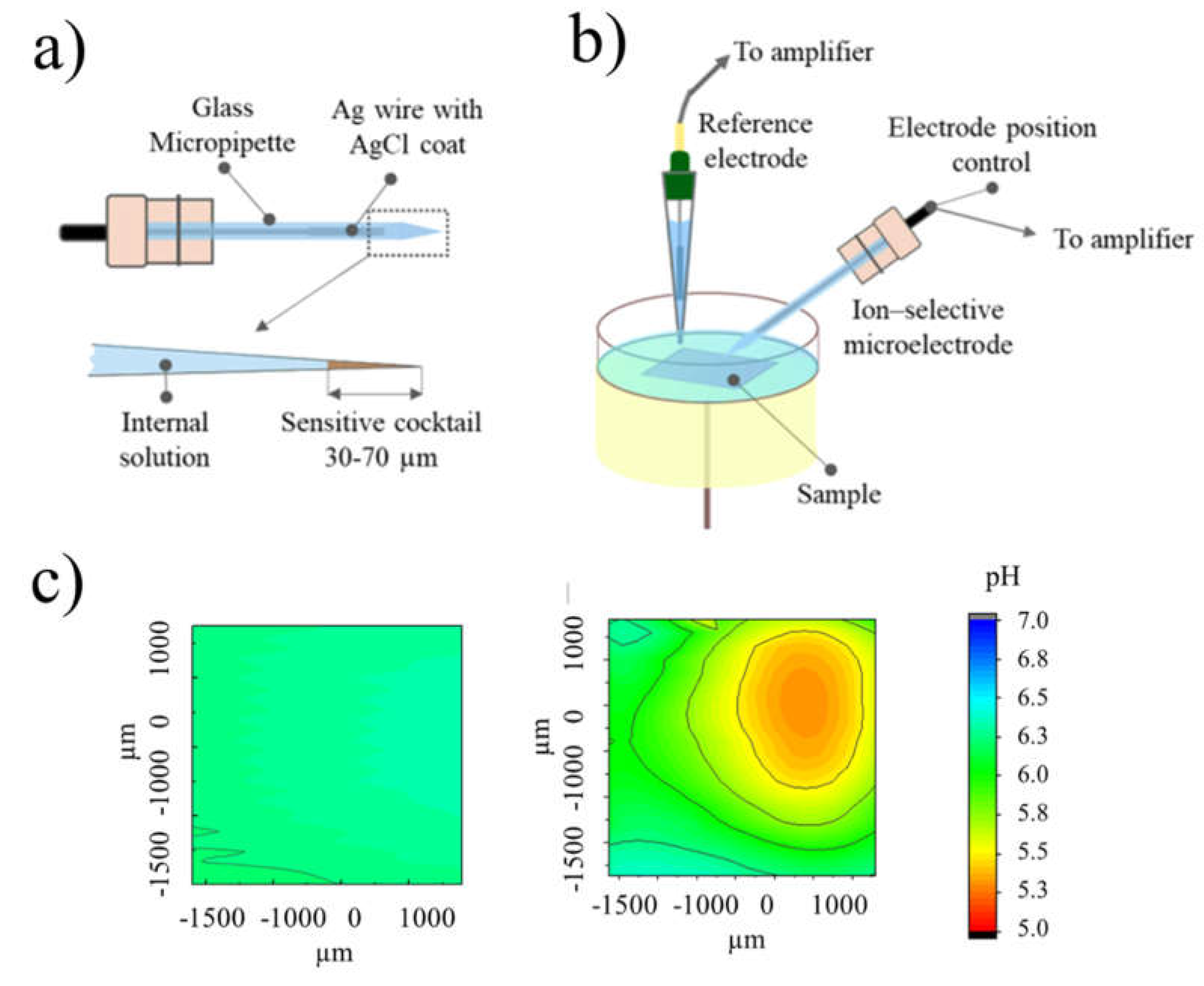 Preprints 72443 g002