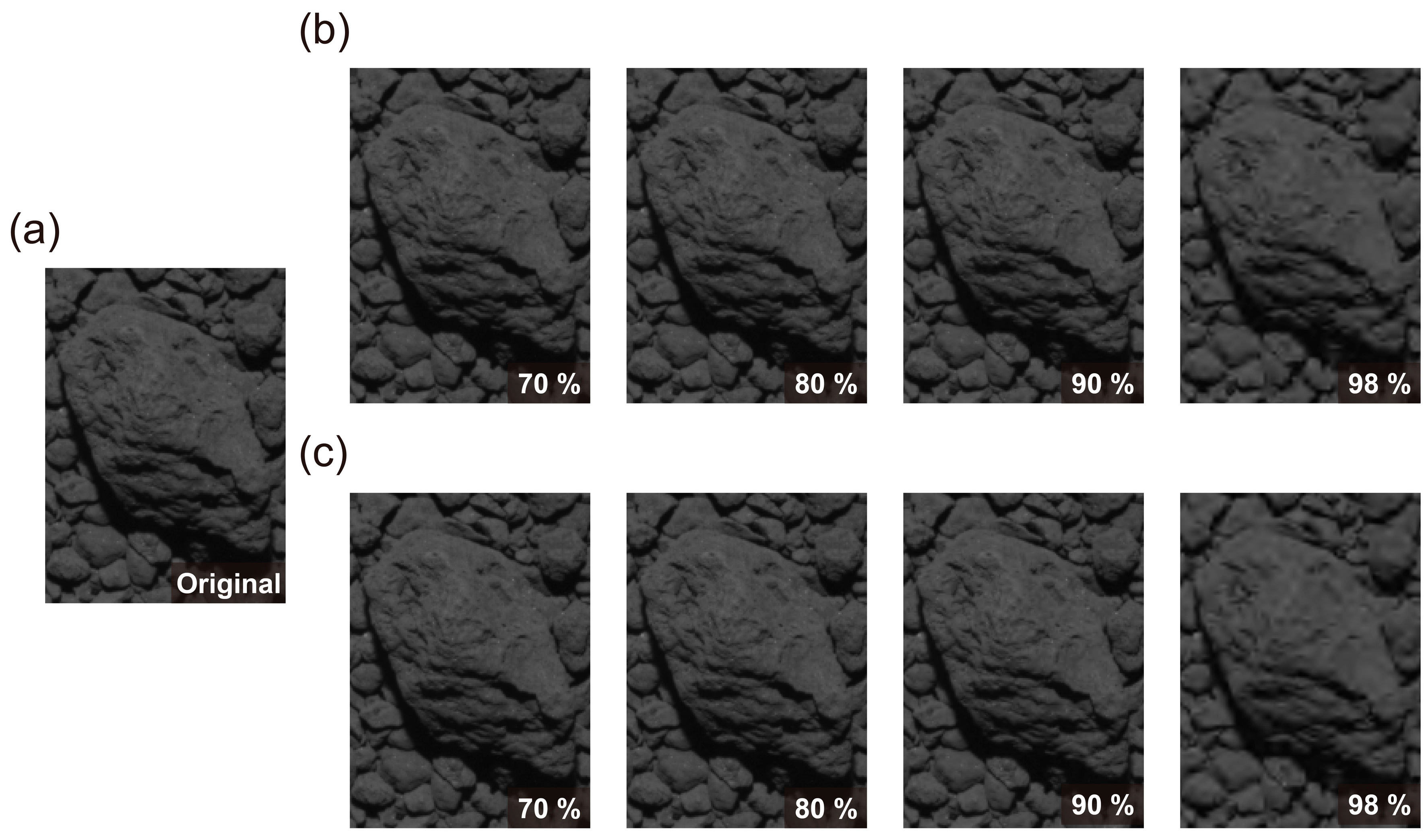 Preprints 87887 g005