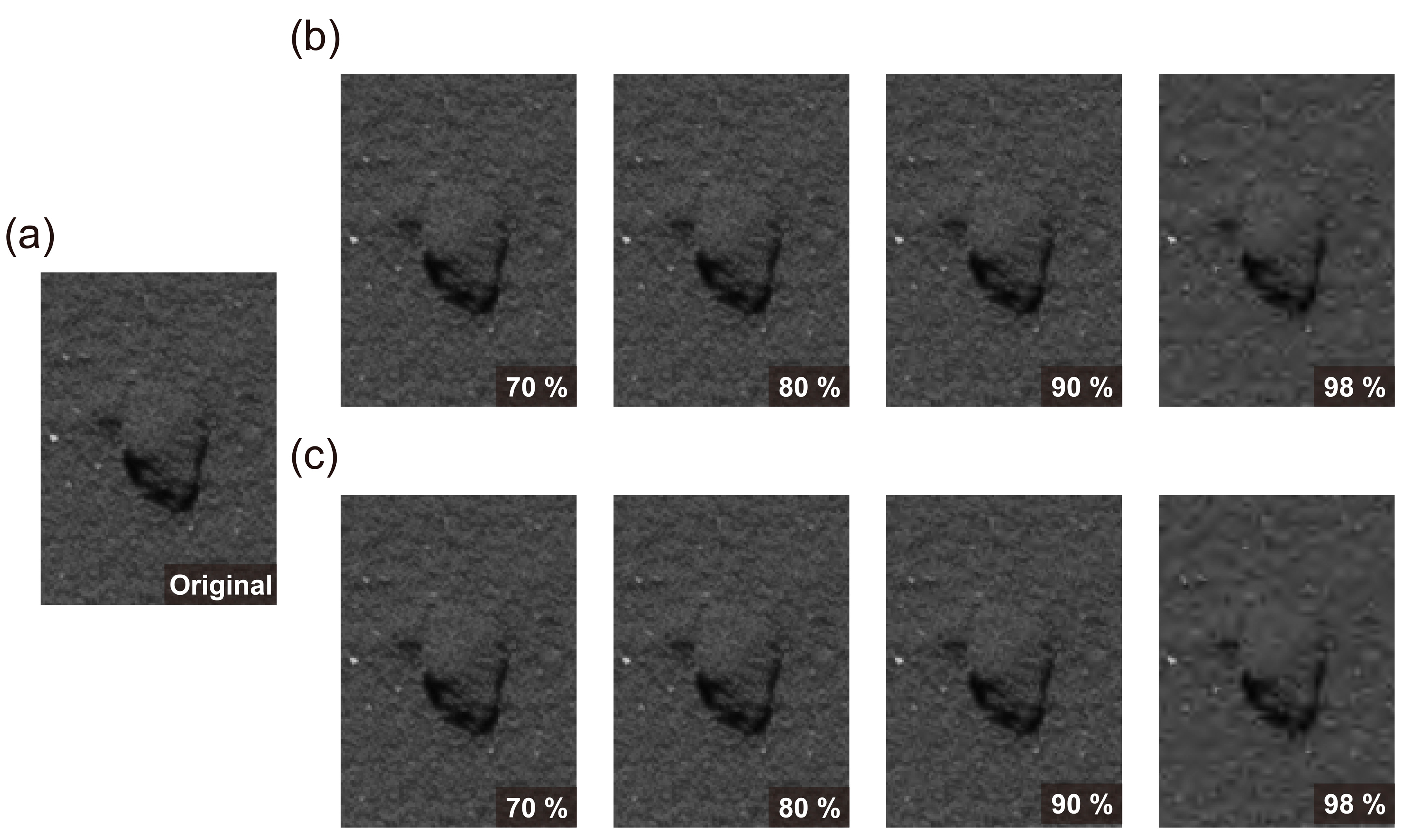 Preprints 87887 g006