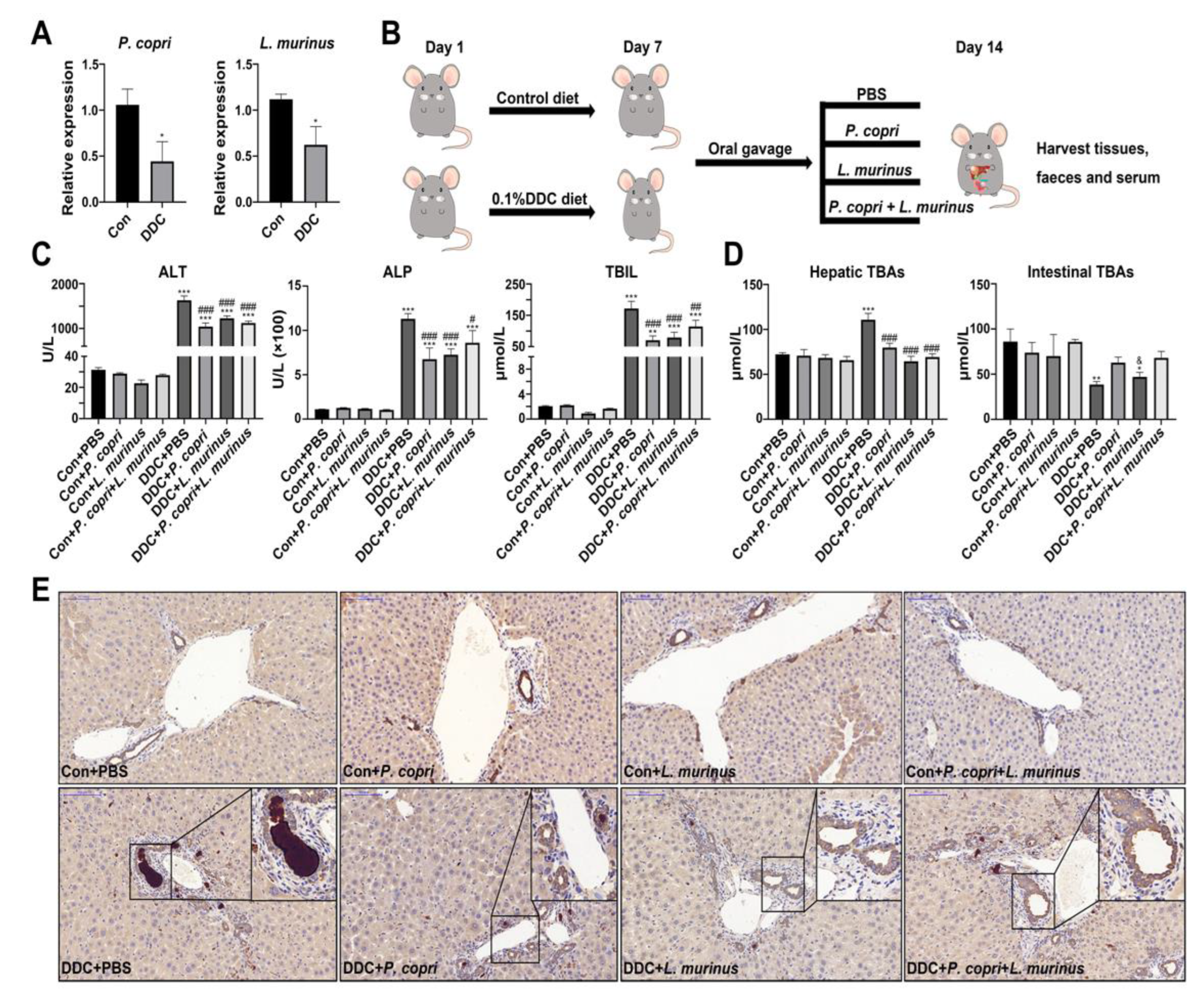 Preprints 74478 g001