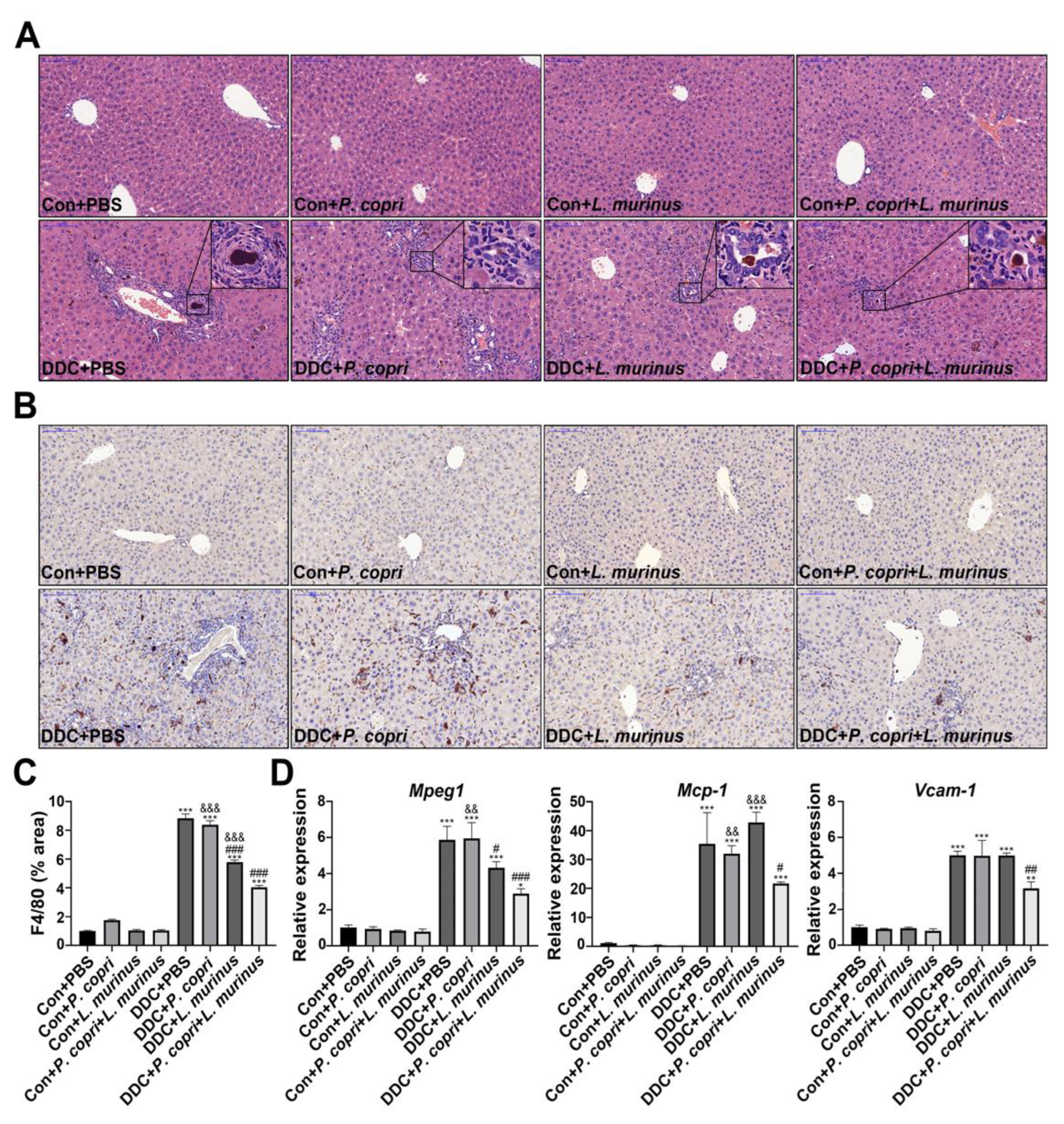 Preprints 74478 g002