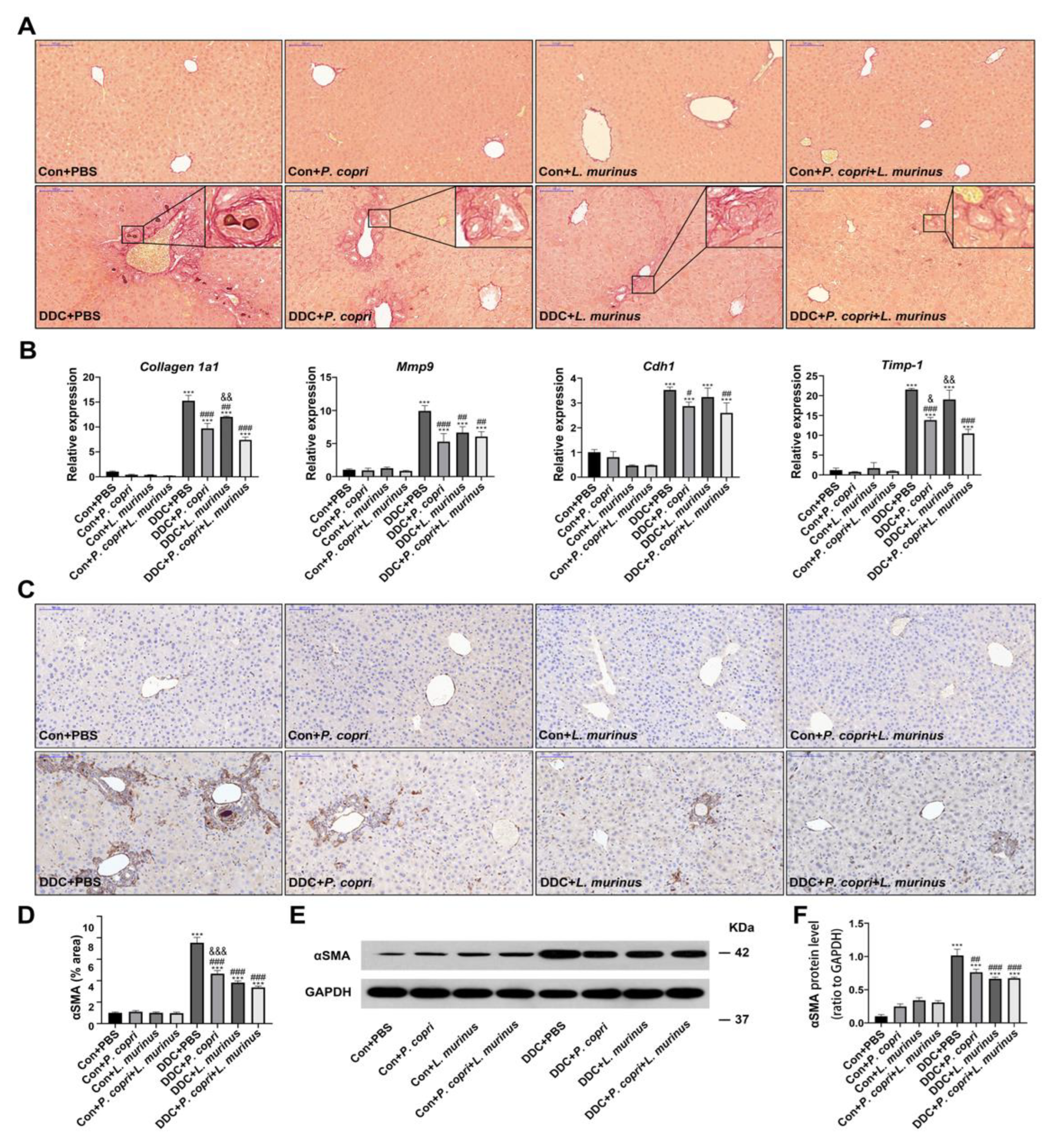 Preprints 74478 g003