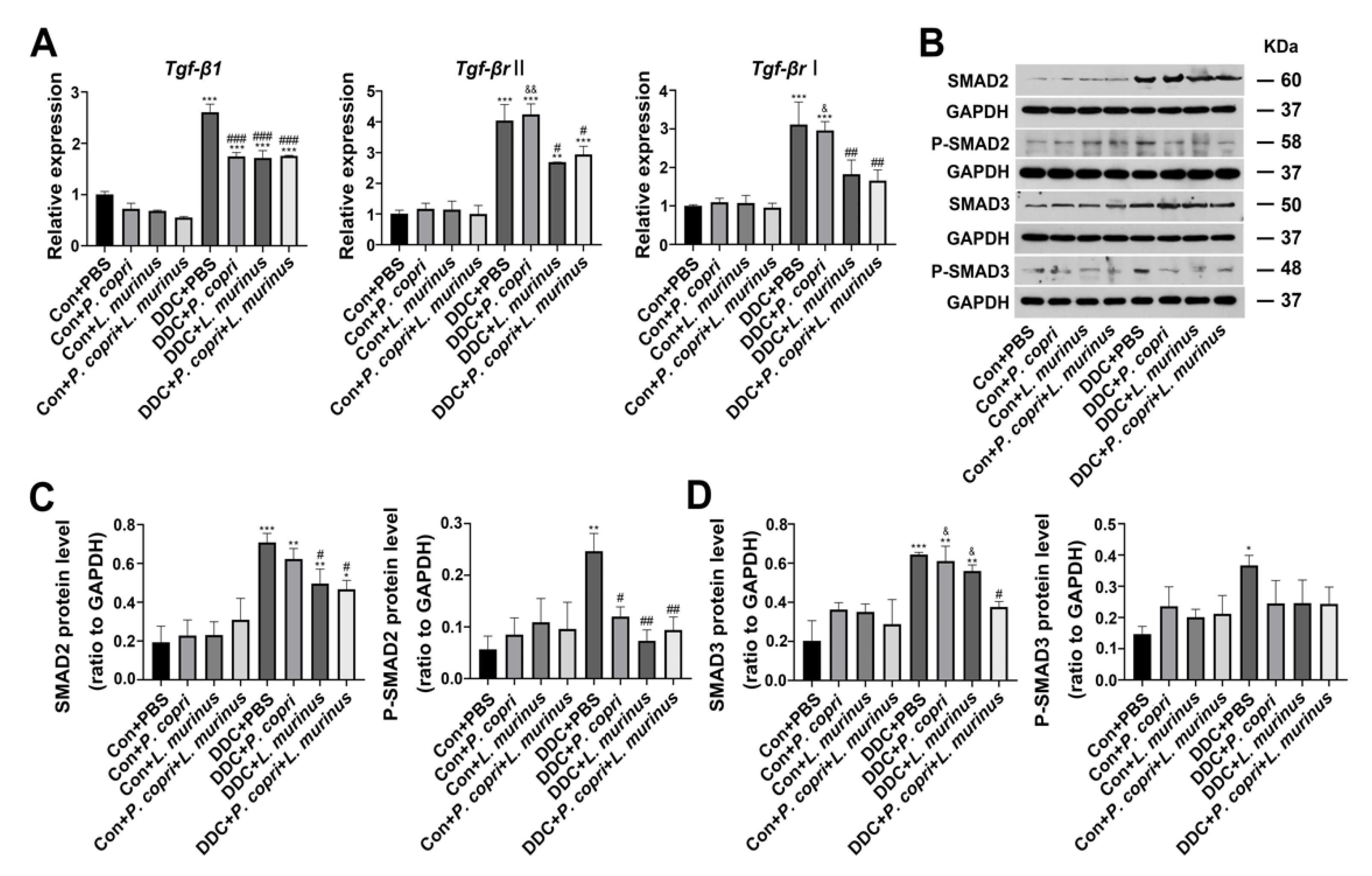 Preprints 74478 g004