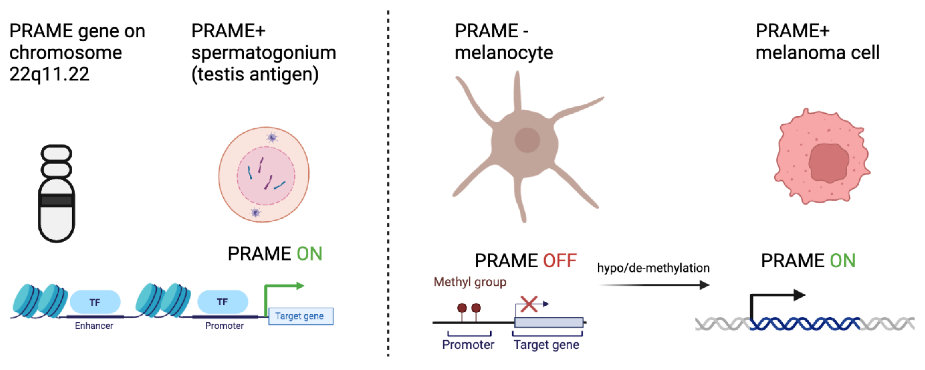 Preprints 118411 g001