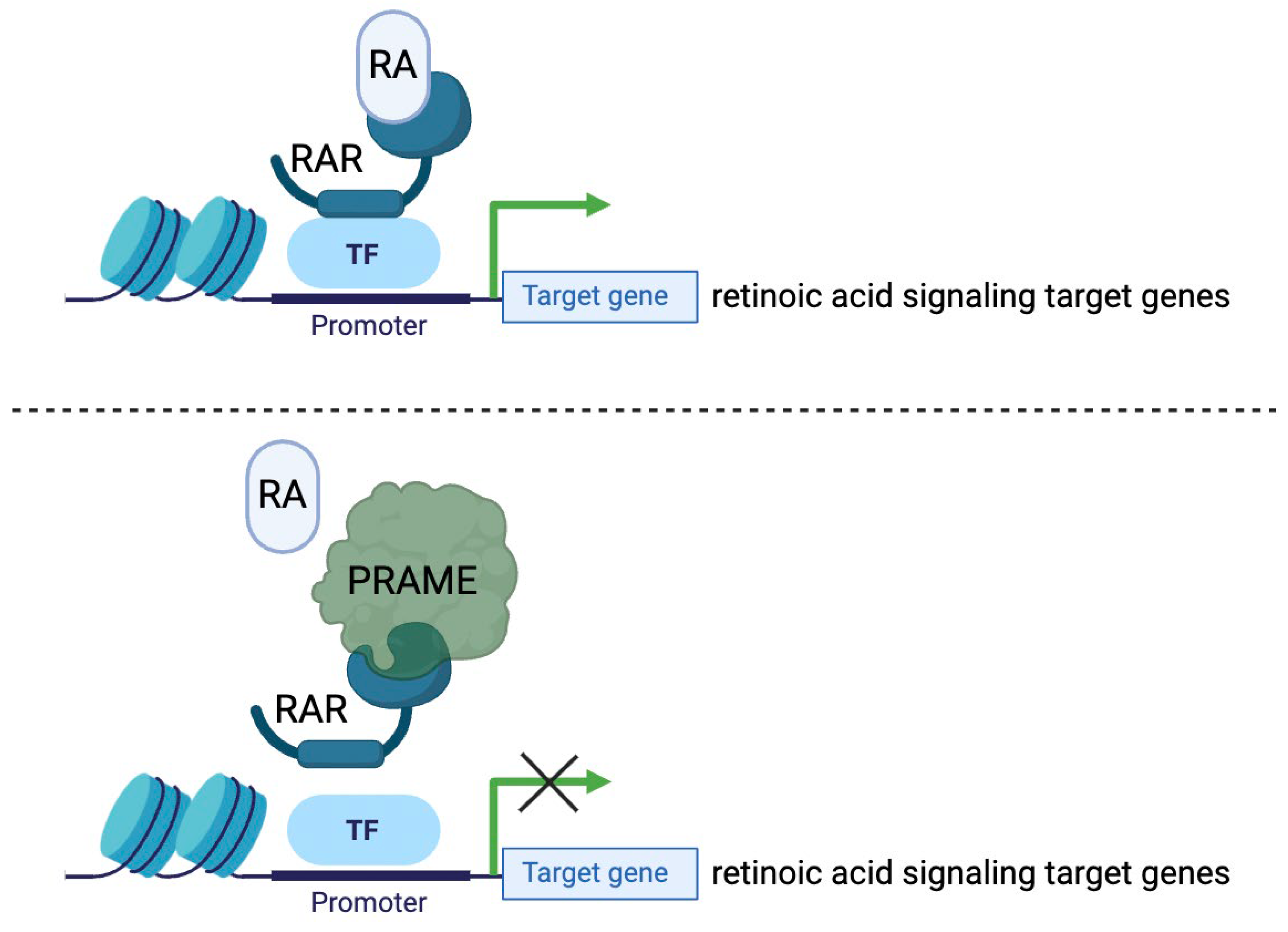 Preprints 118411 g002