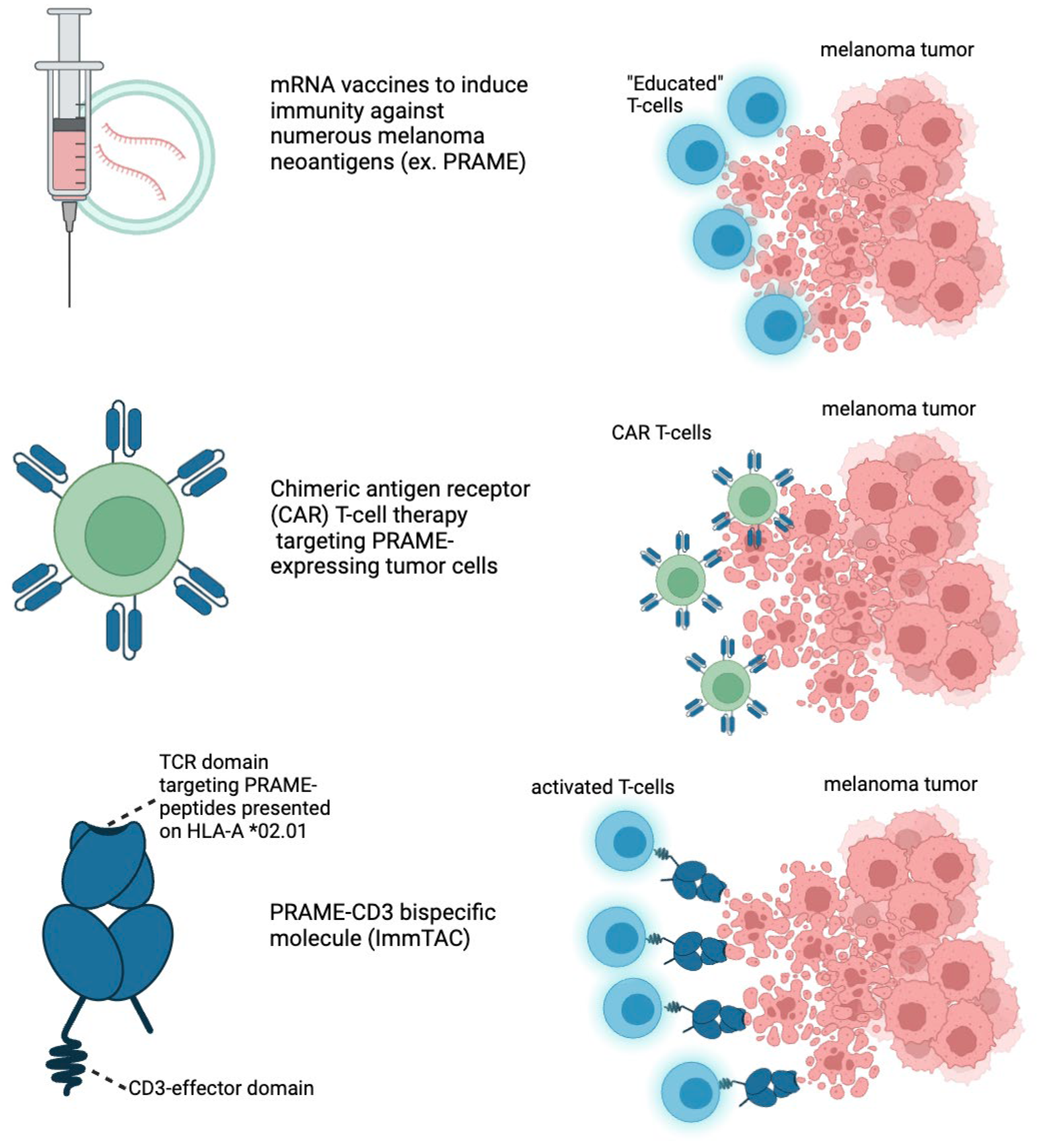 Preprints 118411 g003