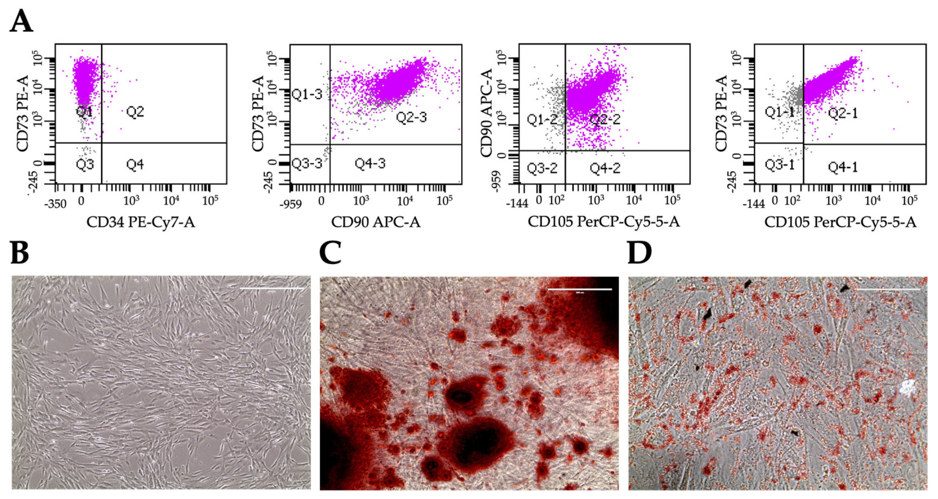 Preprints 77507 g002