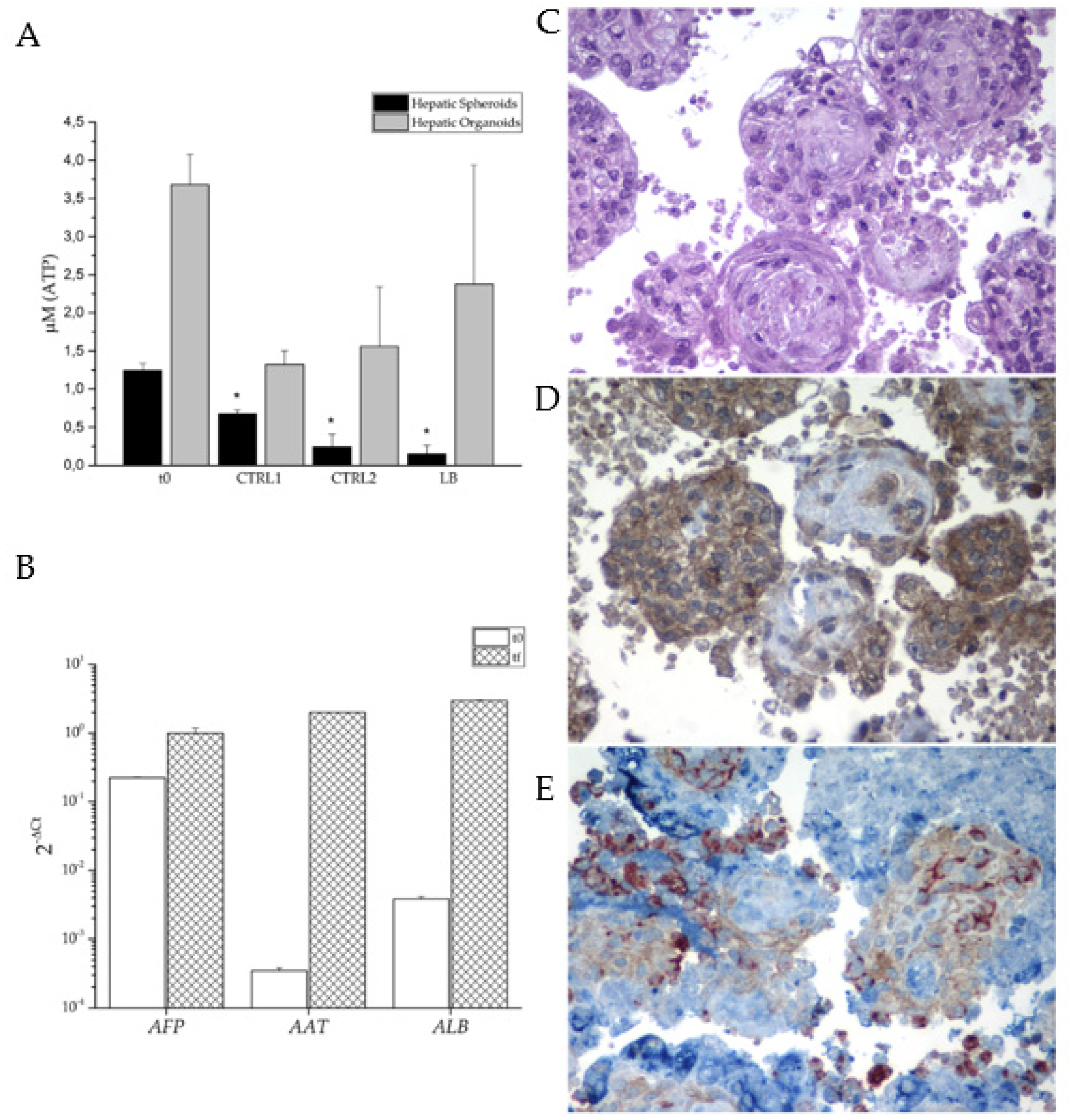 Preprints 77507 g006