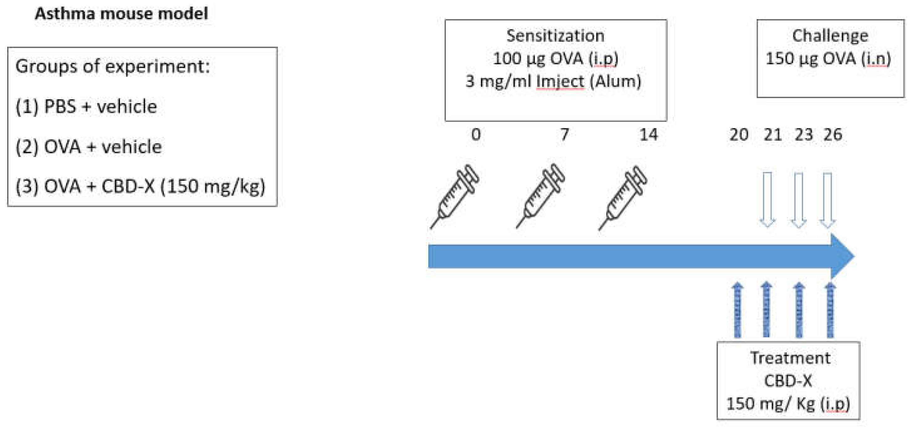 Preprints 117905 g004