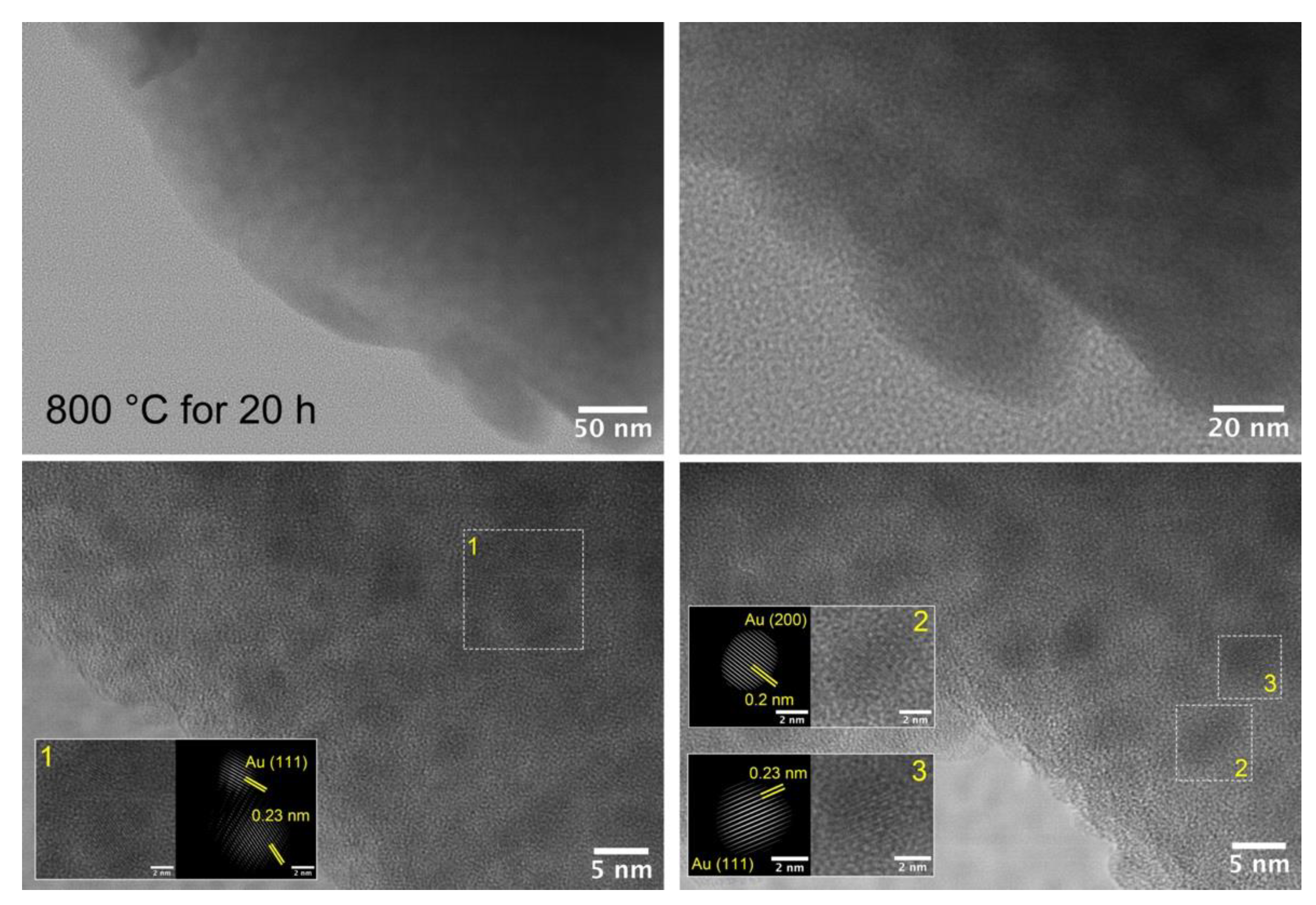 Preprints 103011 g006