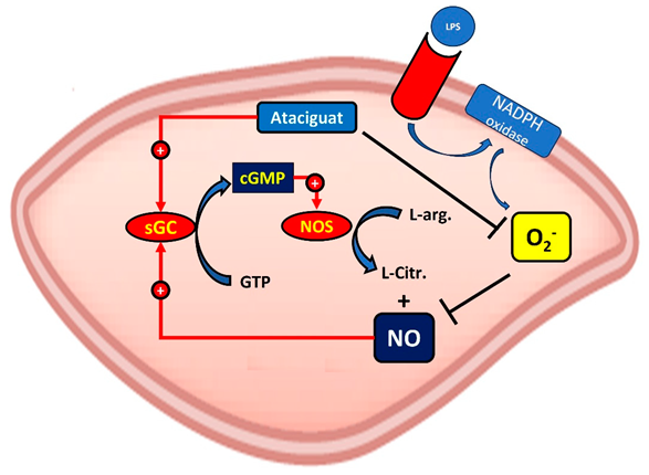 Preprints 89353 g005