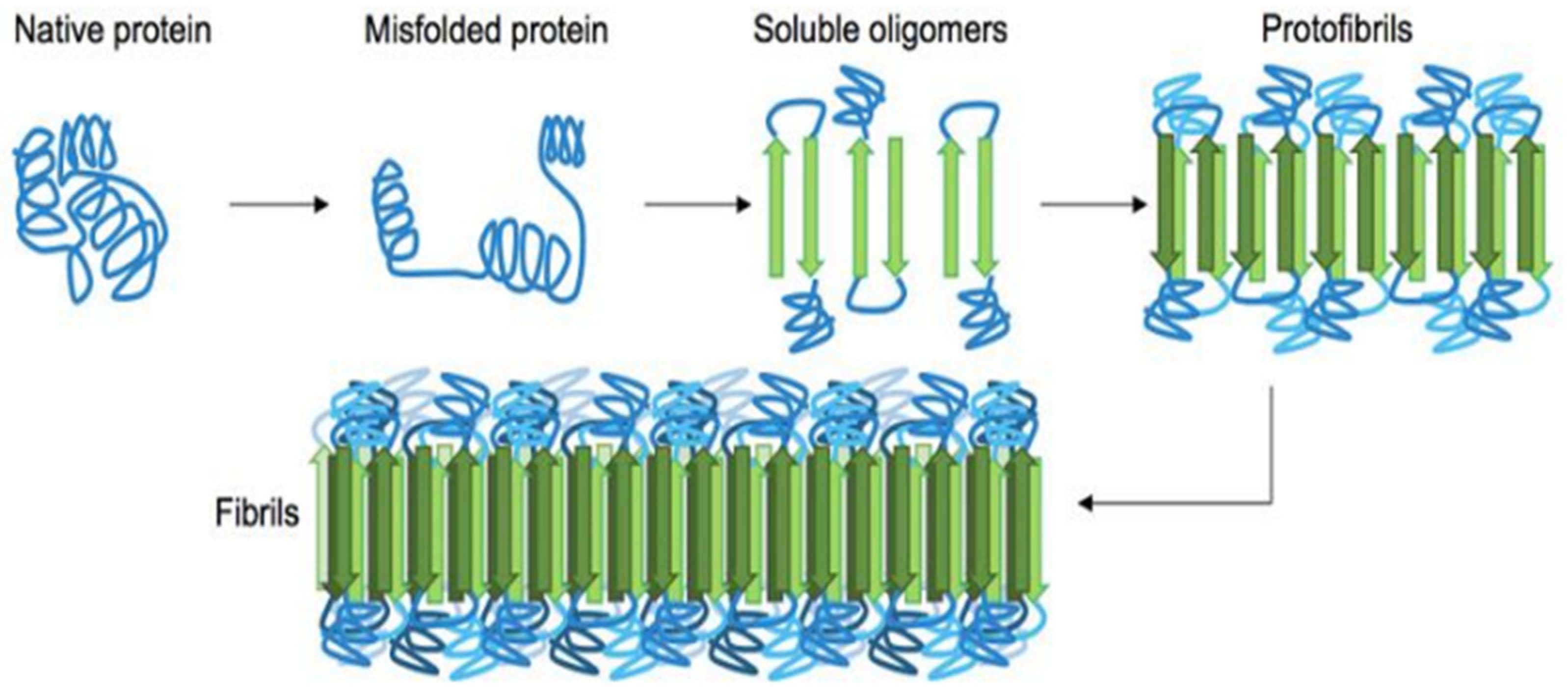 Preprints 92630 g001