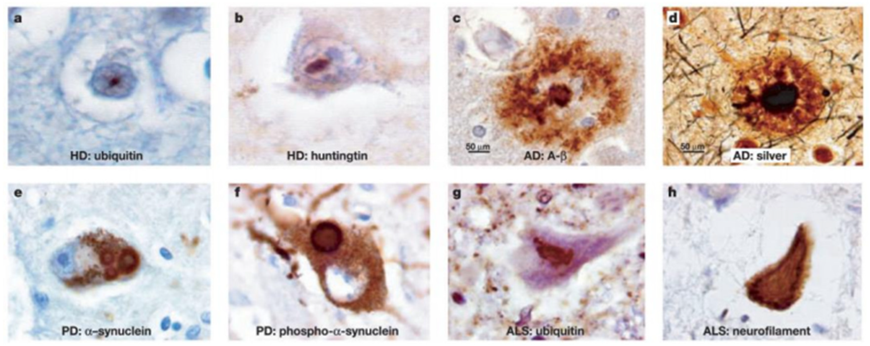 Preprints 92630 g002