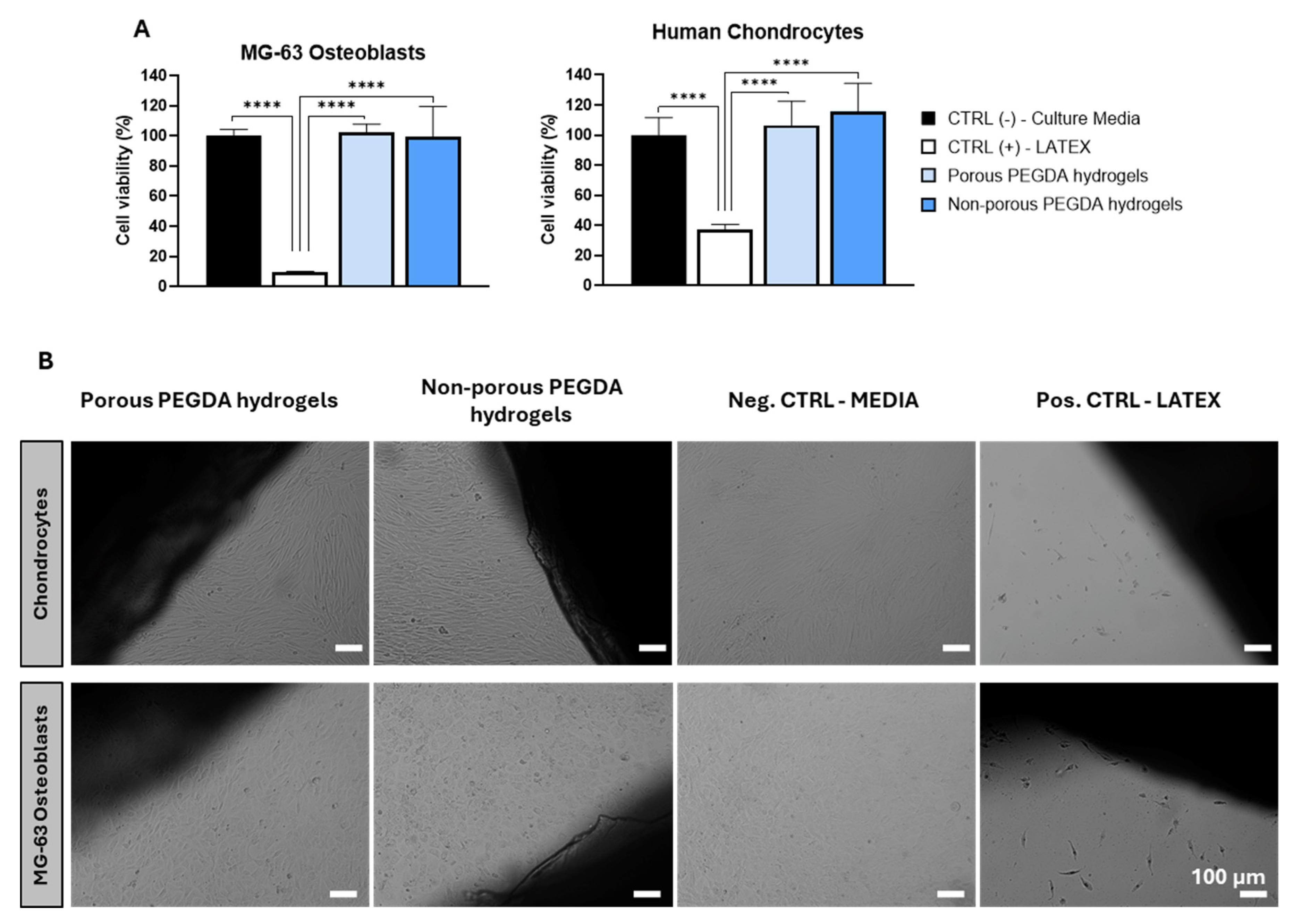 Preprints 104246 g006