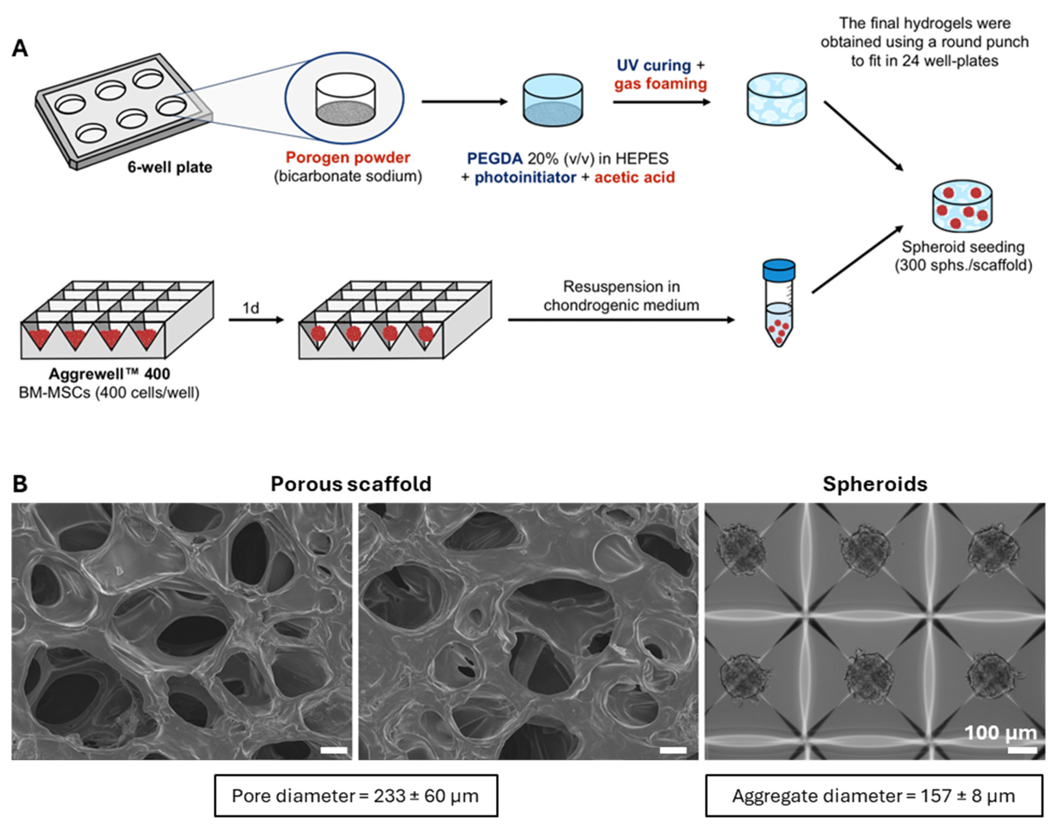 Preprints 104246 g007