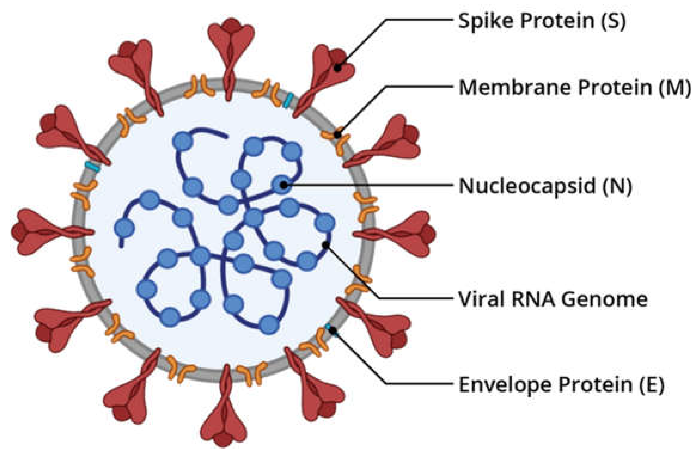 Preprints 71868 g001