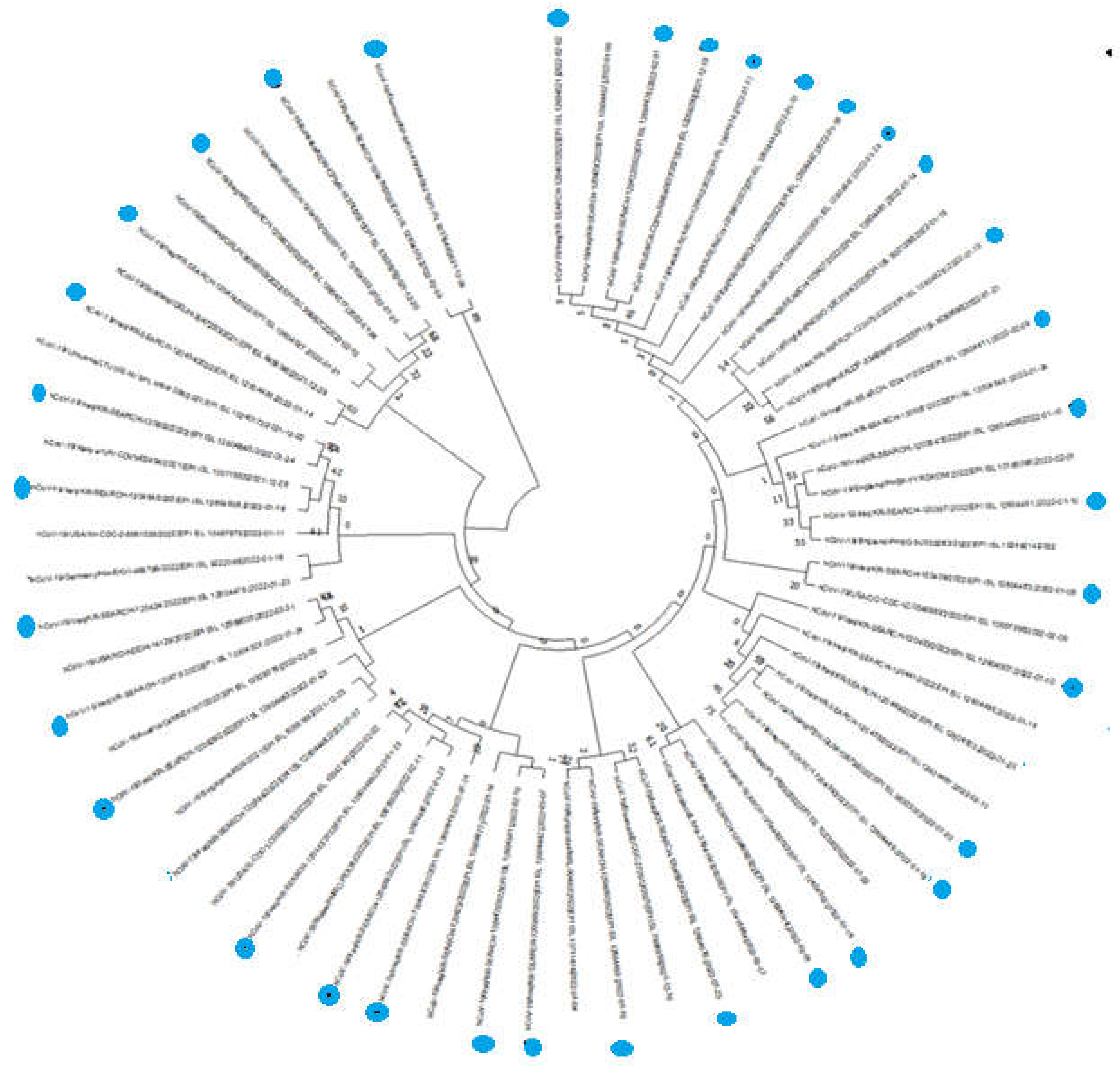 Preprints 71868 g002