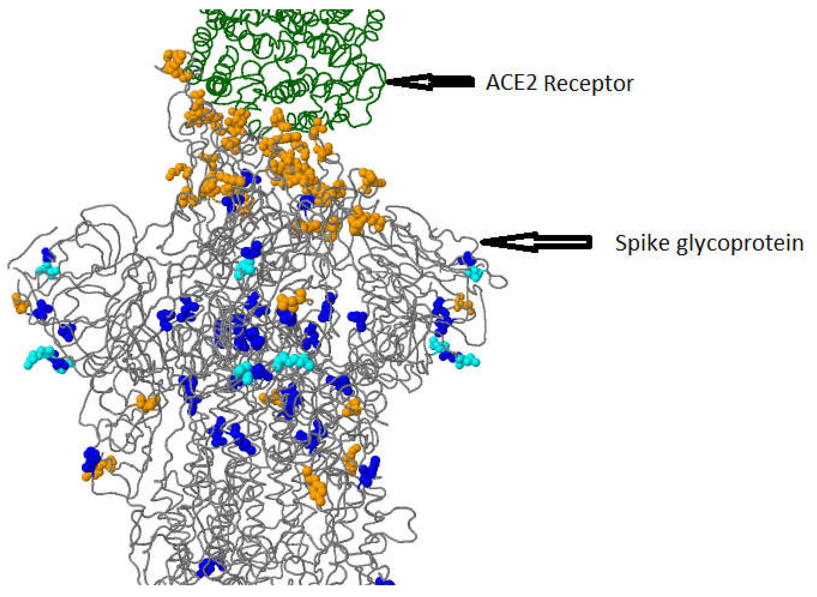 Preprints 71868 g005