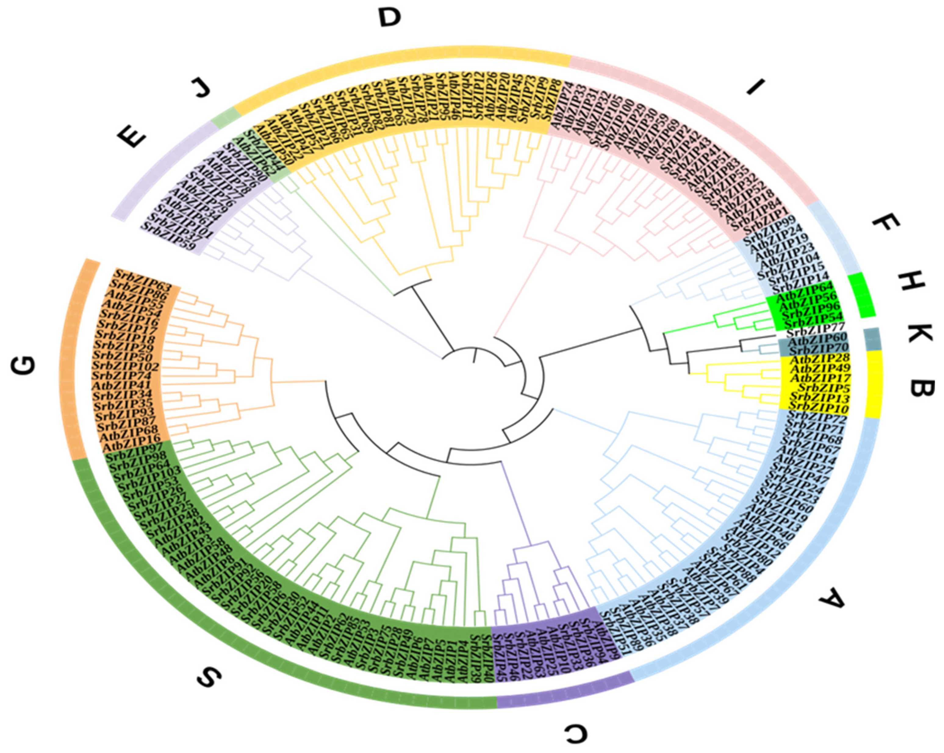 Preprints 80842 g001