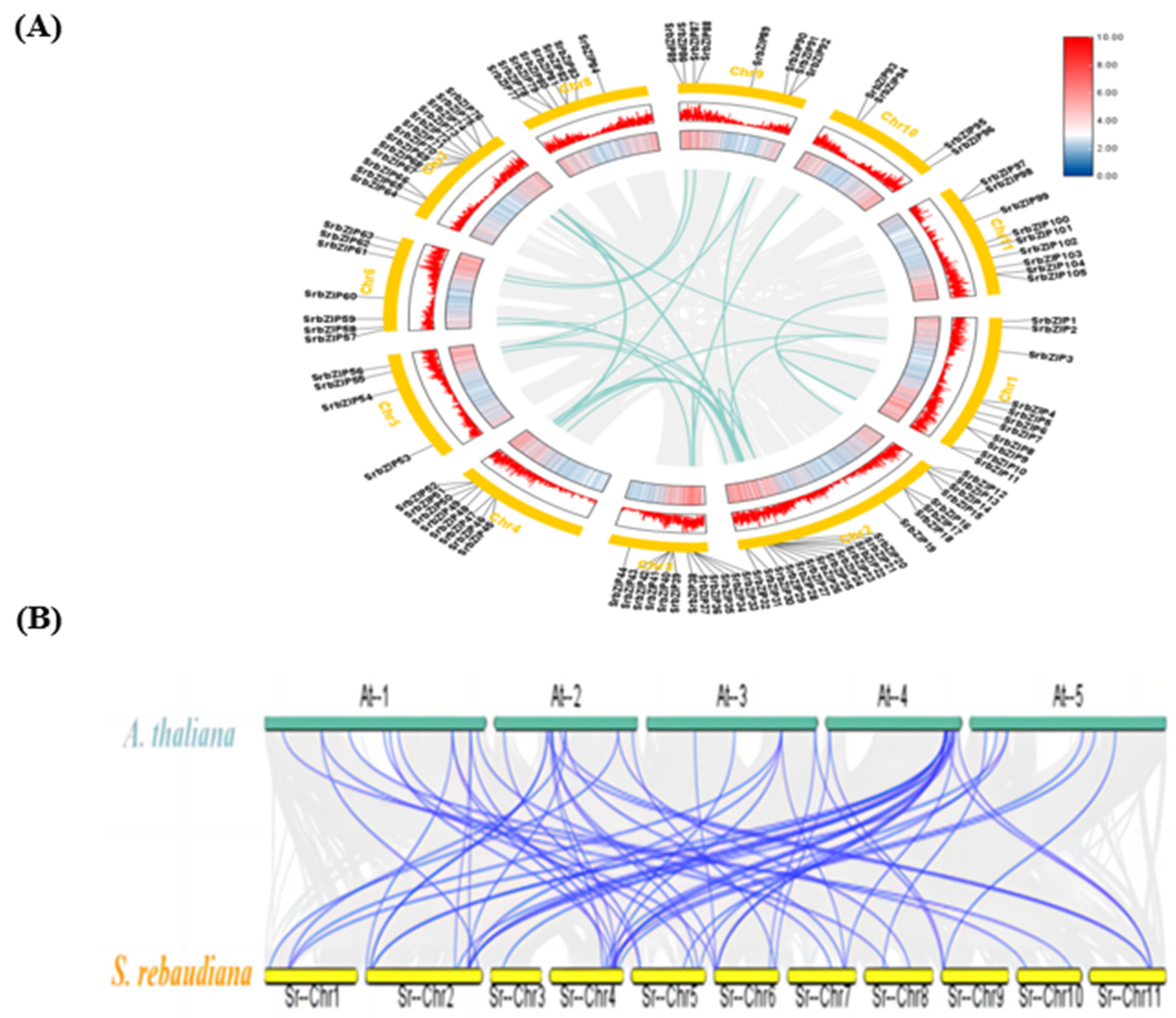 Preprints 80842 g002