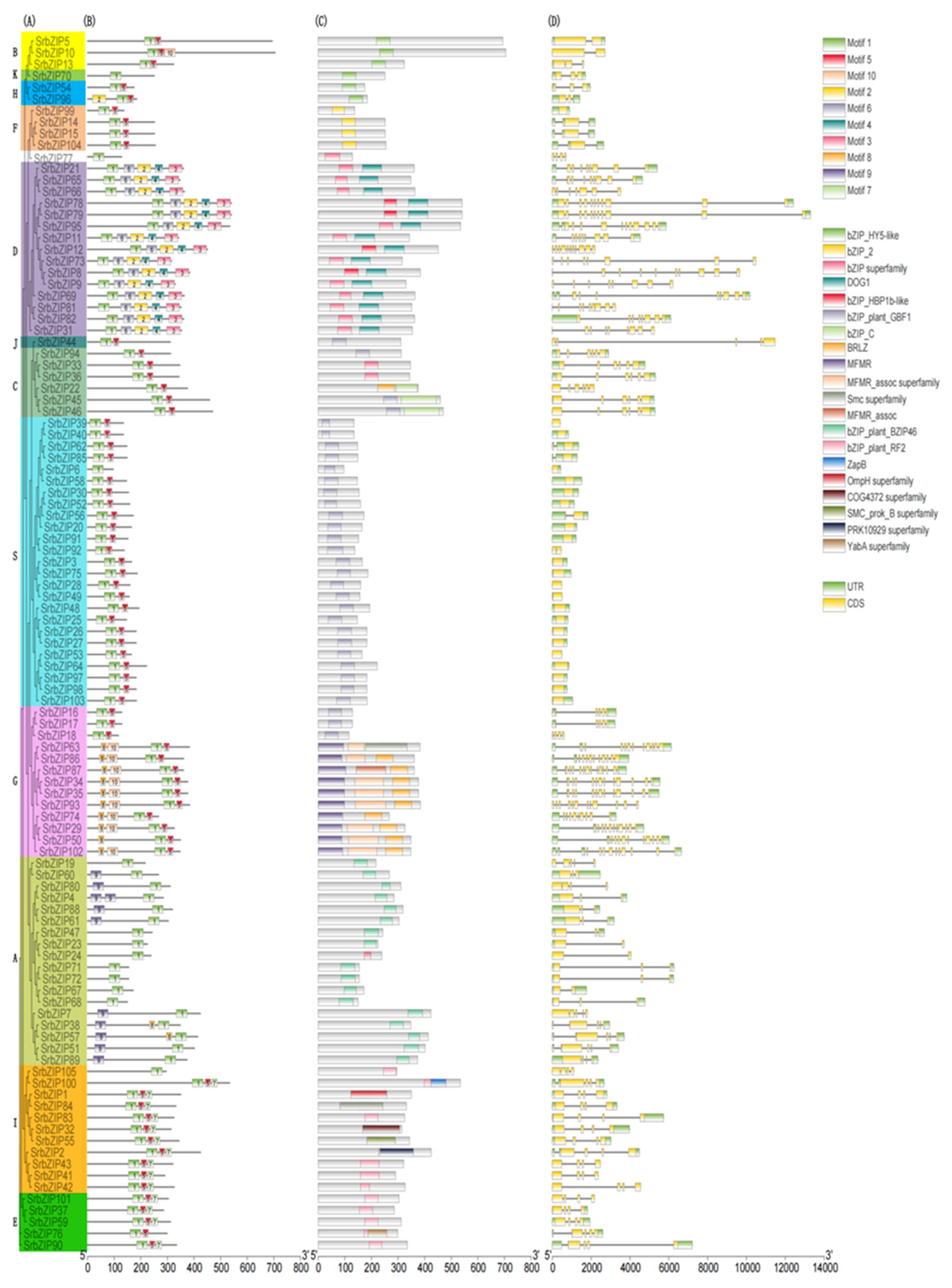 Preprints 80842 g003