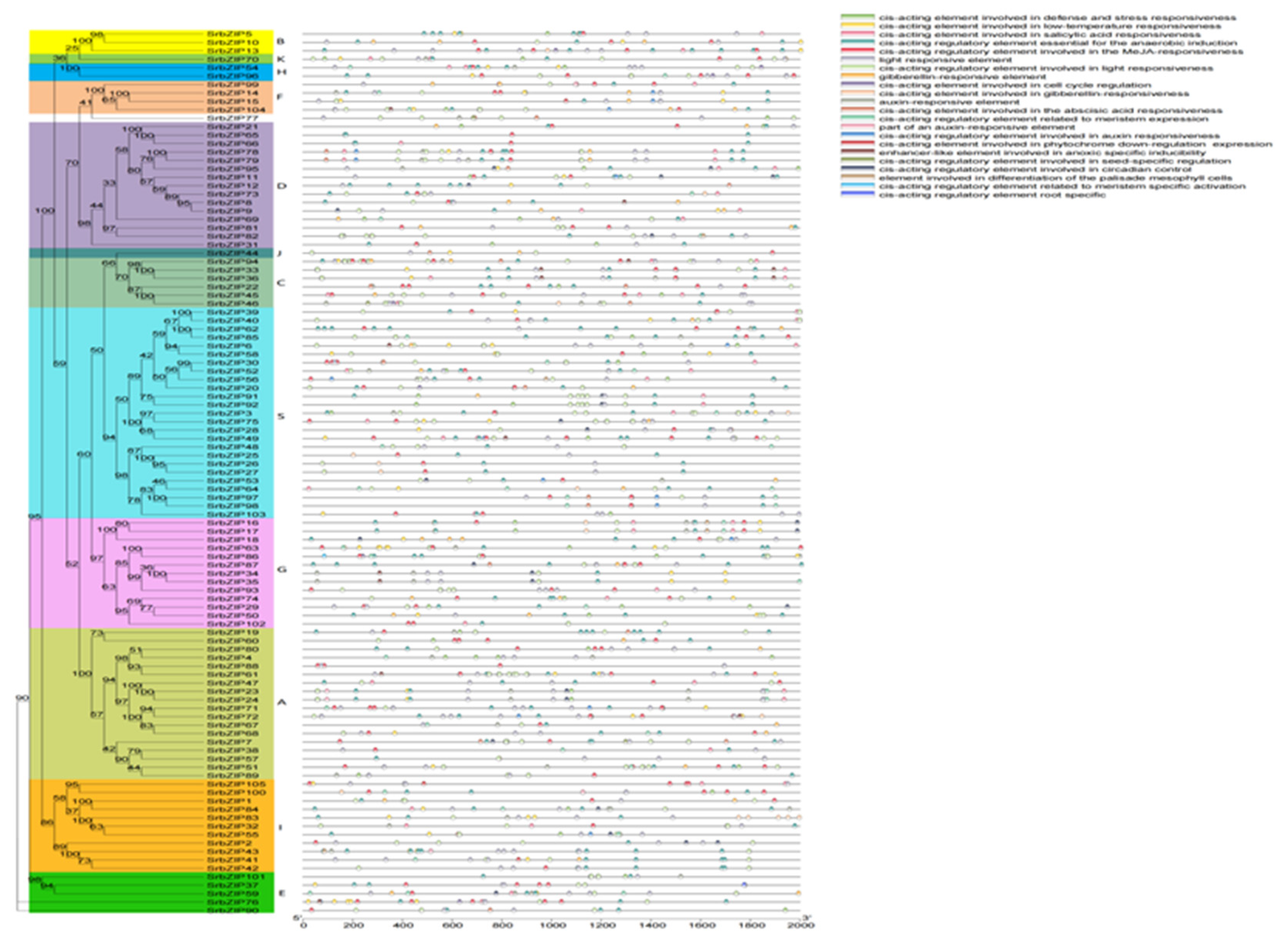 Preprints 80842 g004