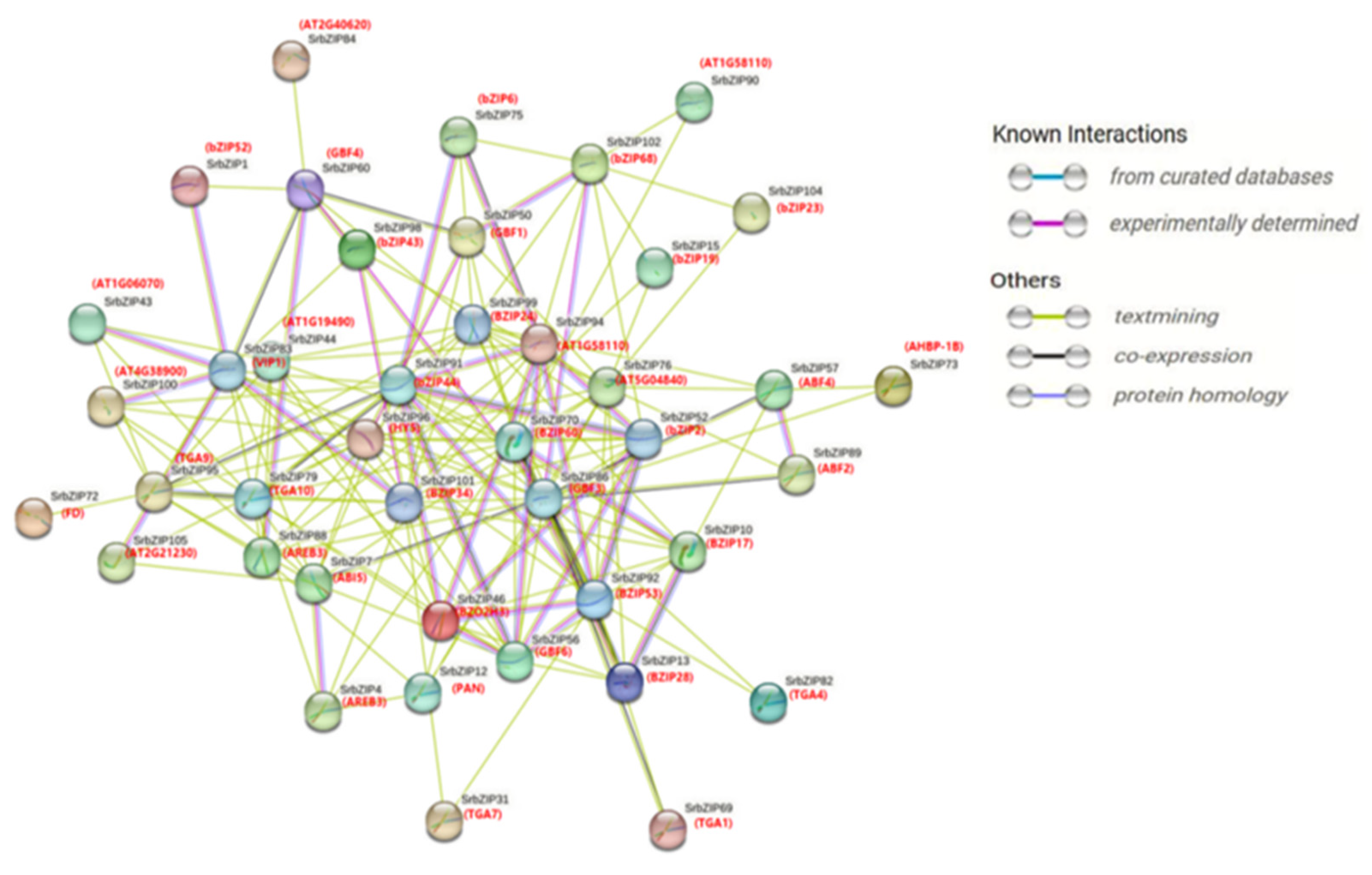 Preprints 80842 g005