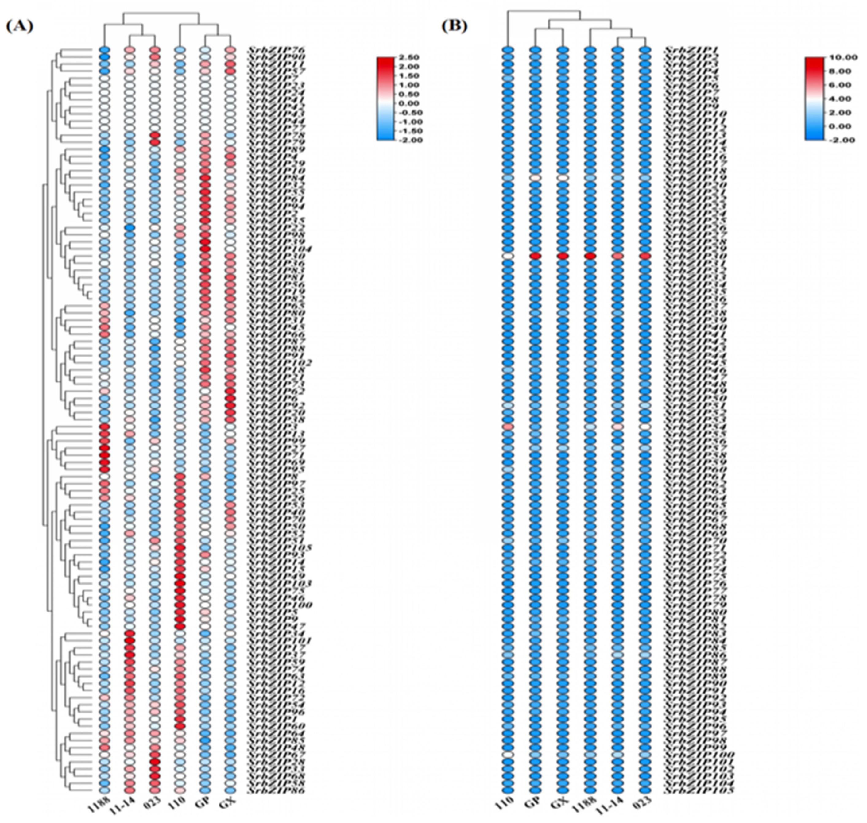 Preprints 80842 g006