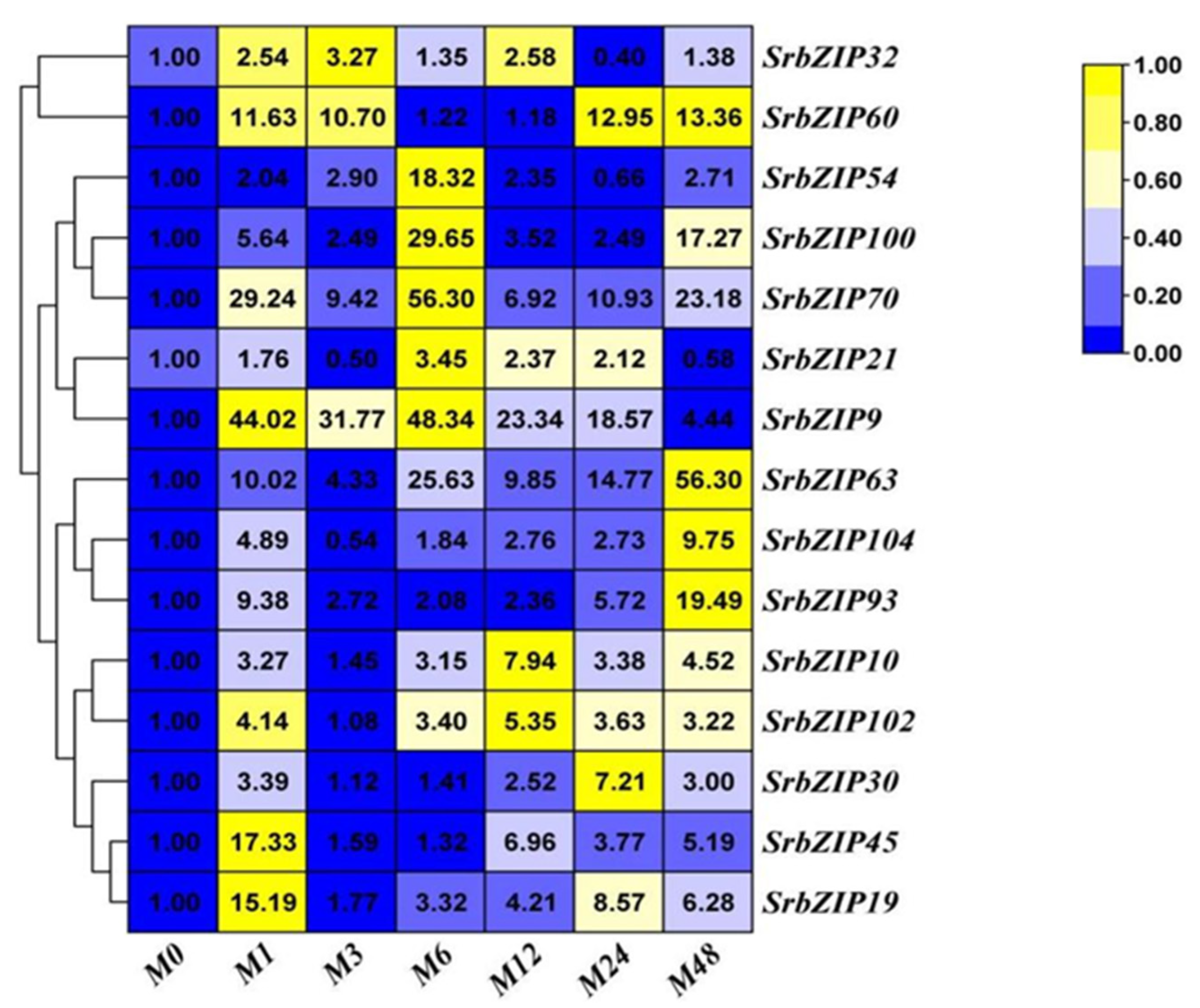 Preprints 80842 g010