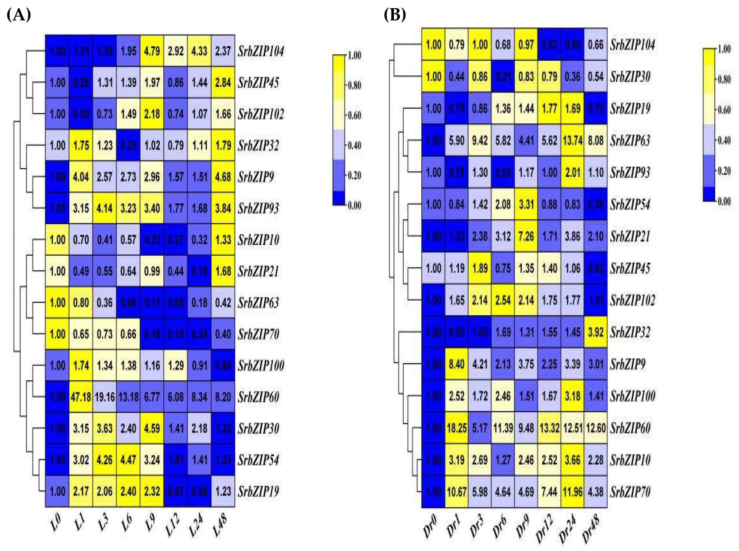 Preprints 80842 g012