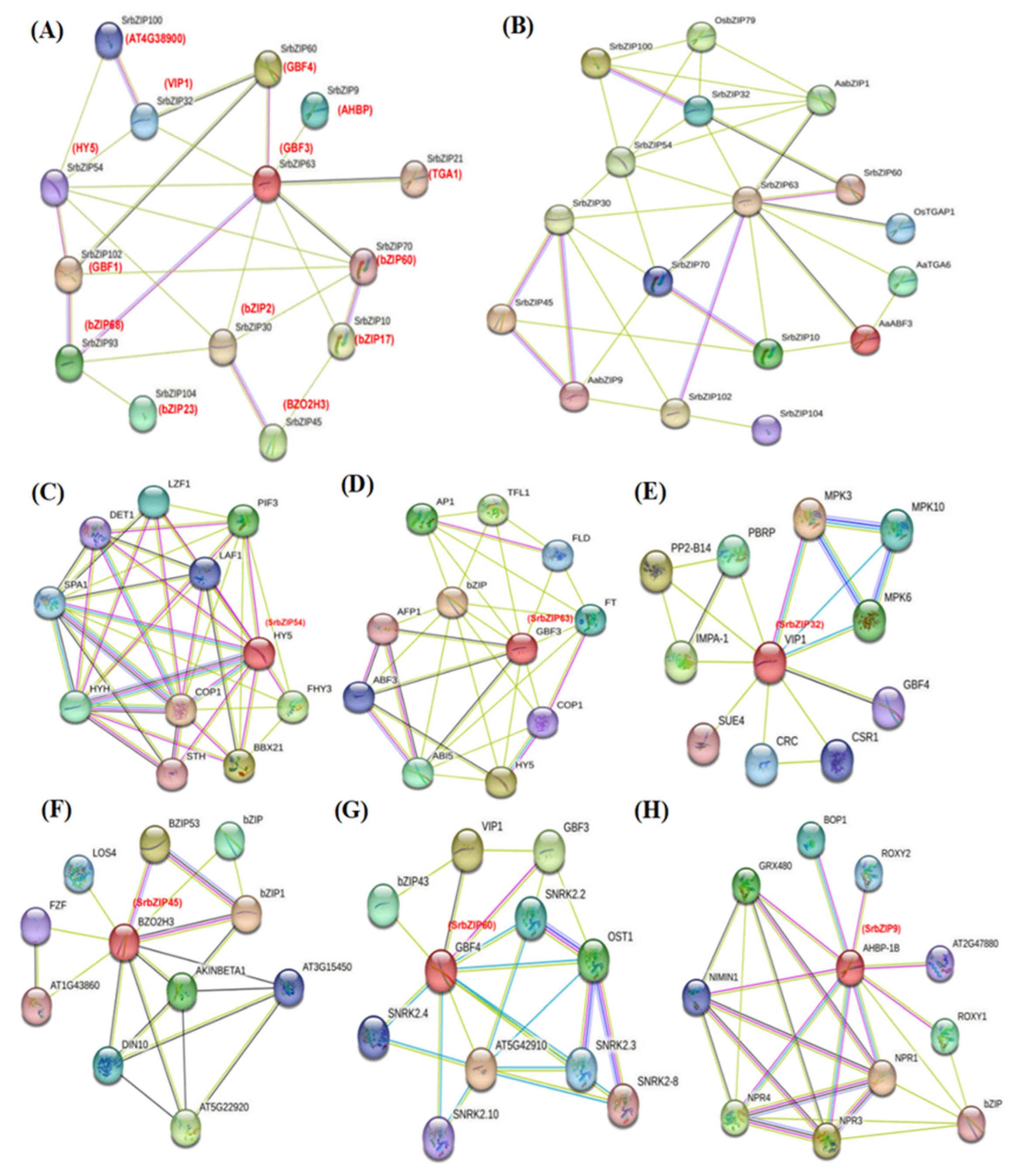 Preprints 80842 g016