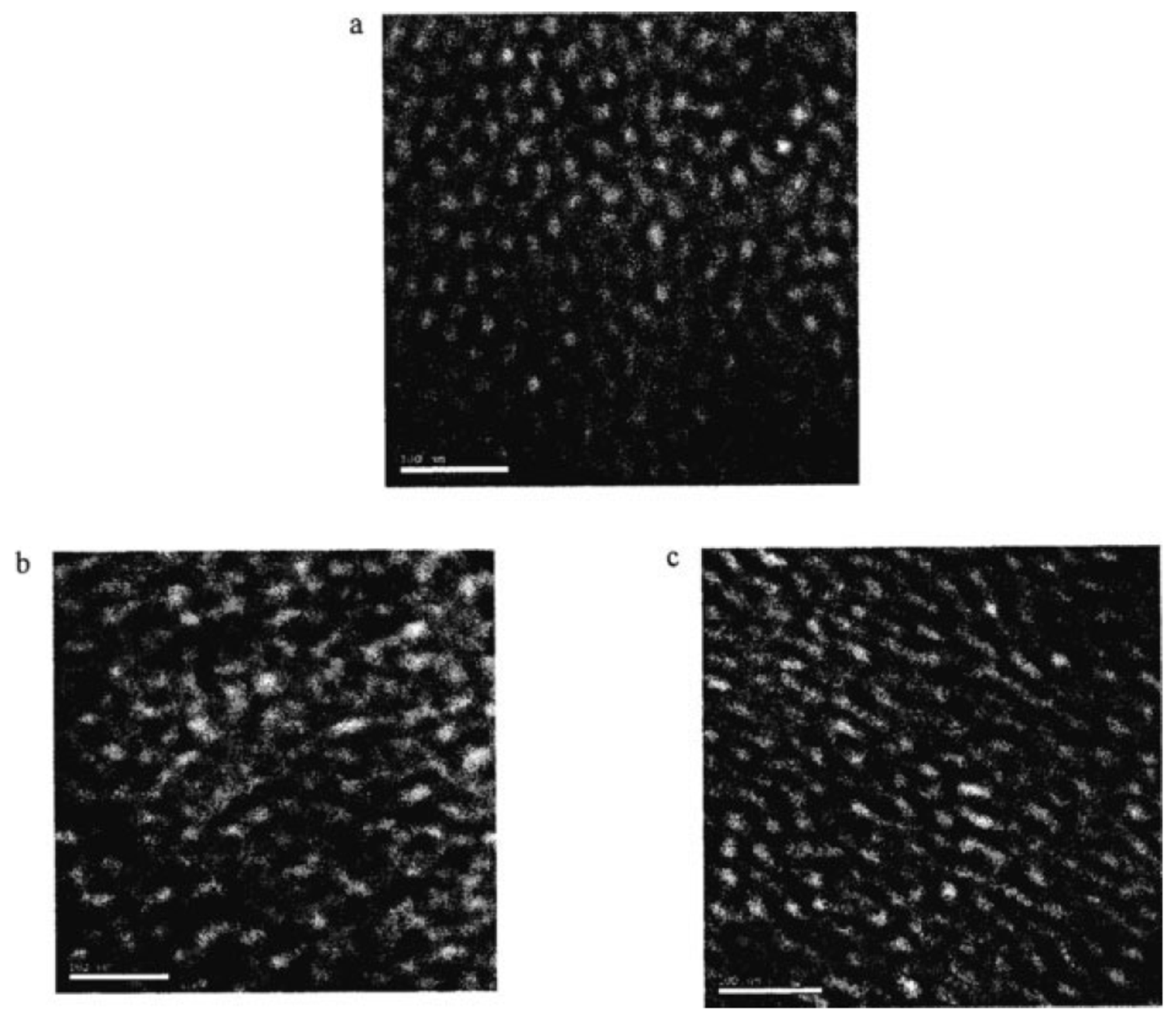 Preprints 100262 g008