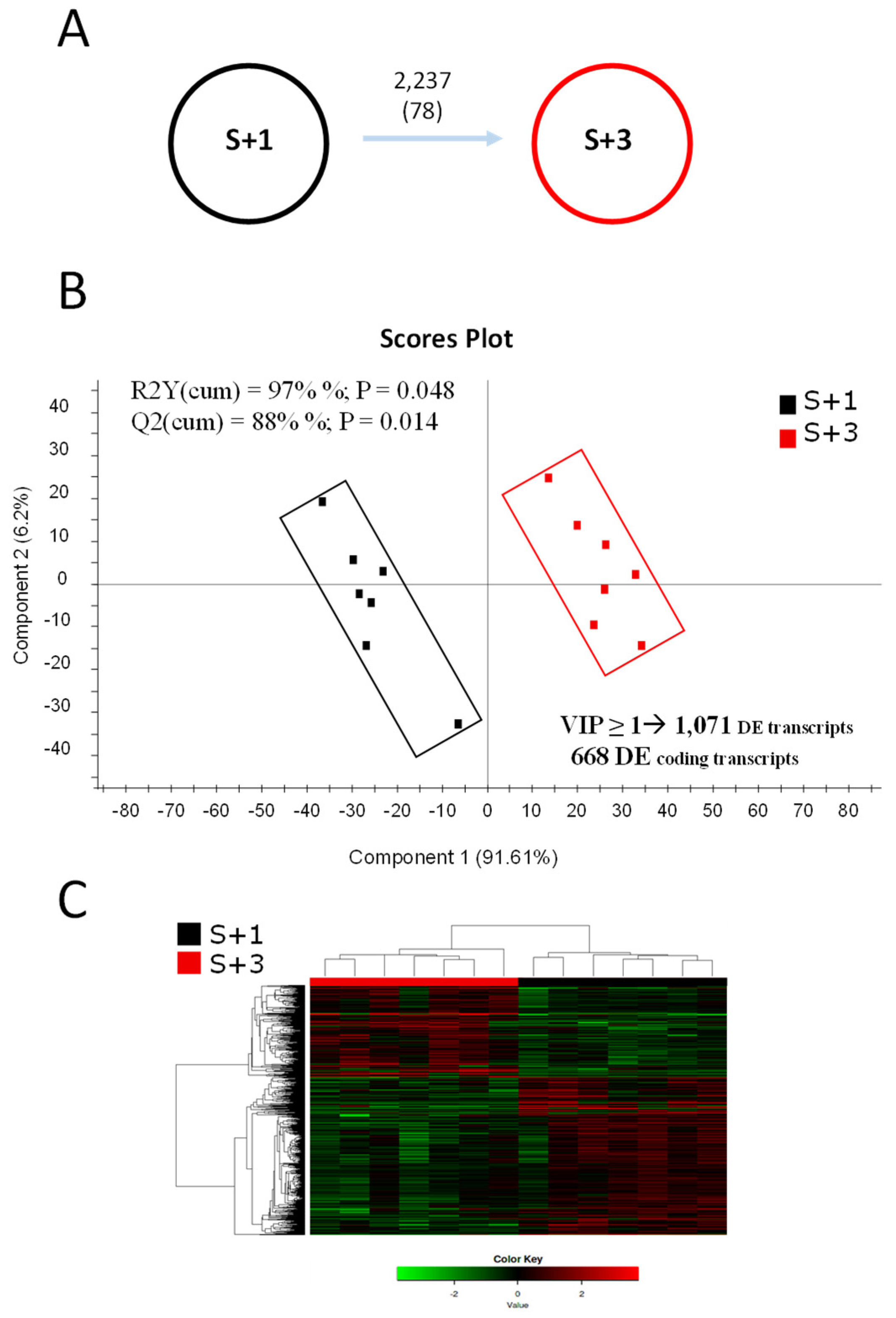 Preprints 109302 g001