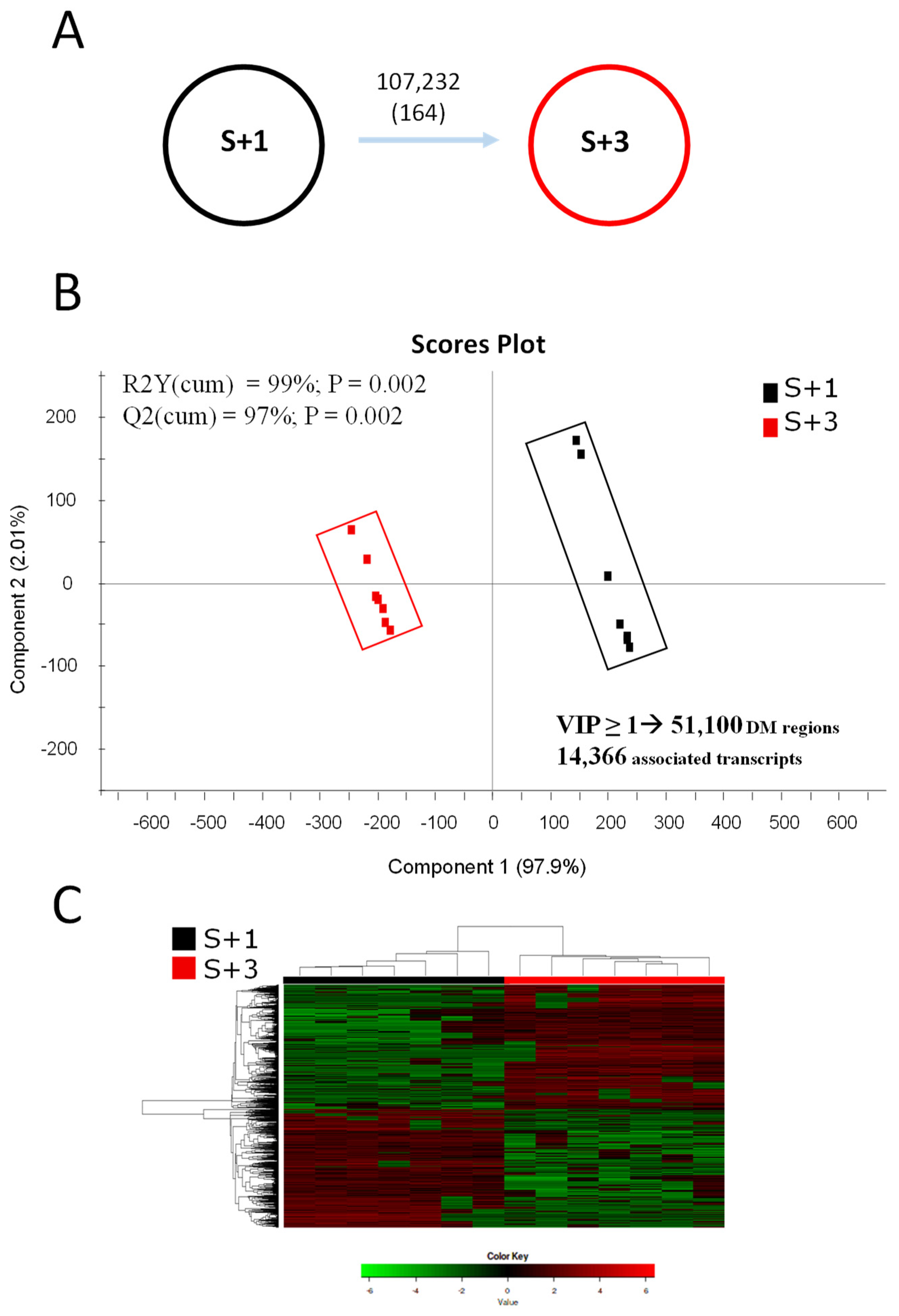 Preprints 109302 g002