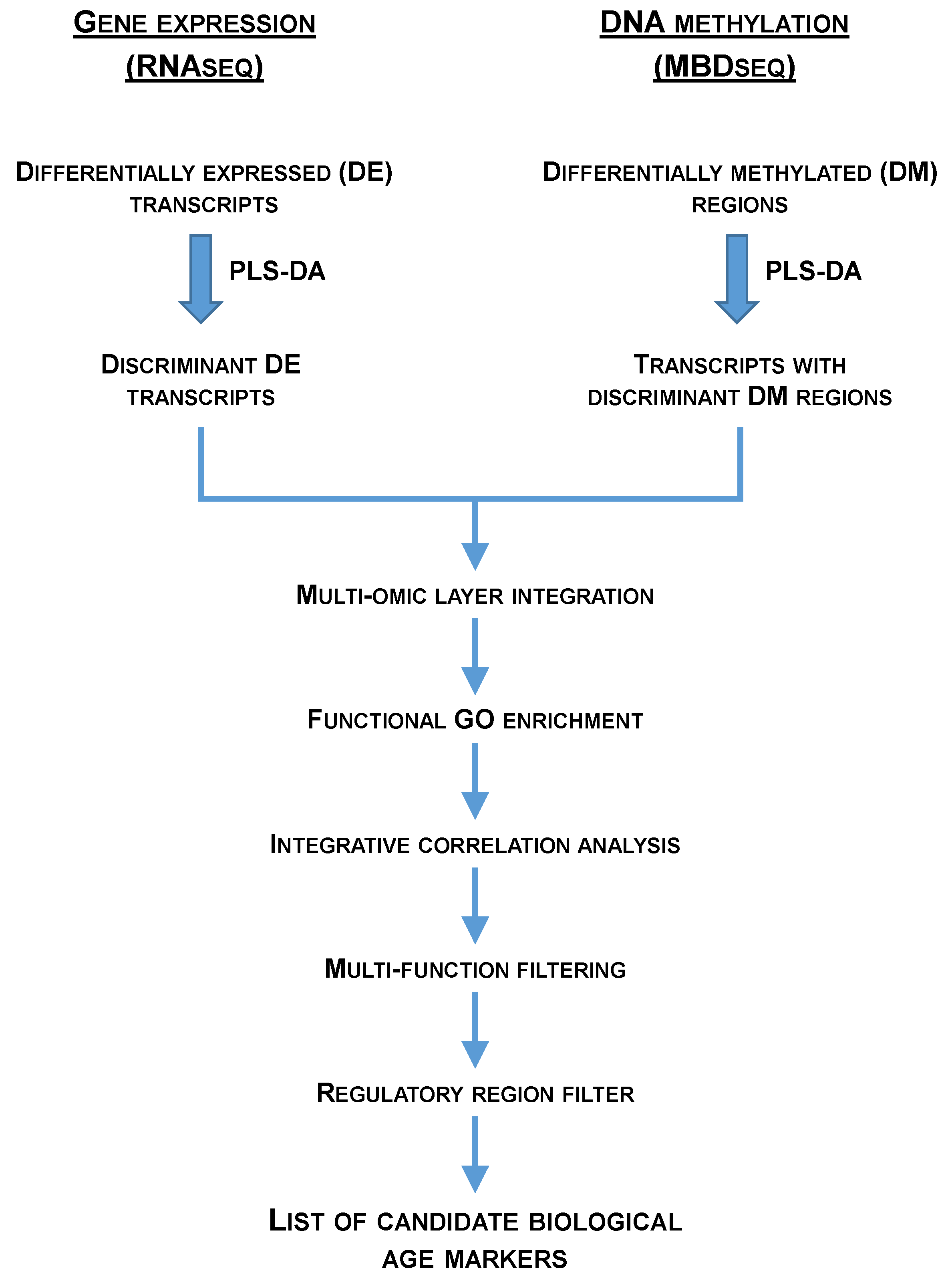 Preprints 109302 g006