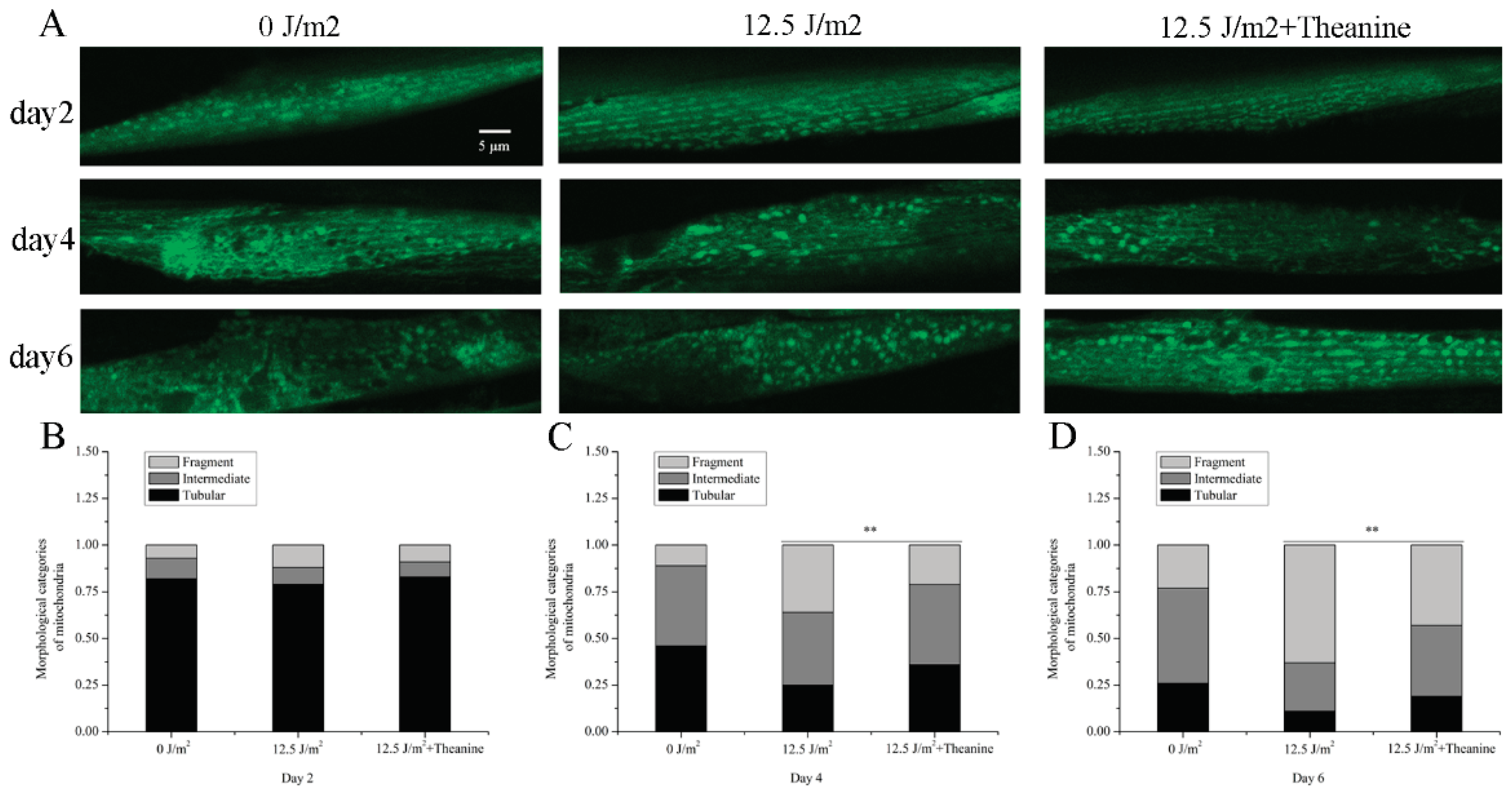 Preprints 102936 g003