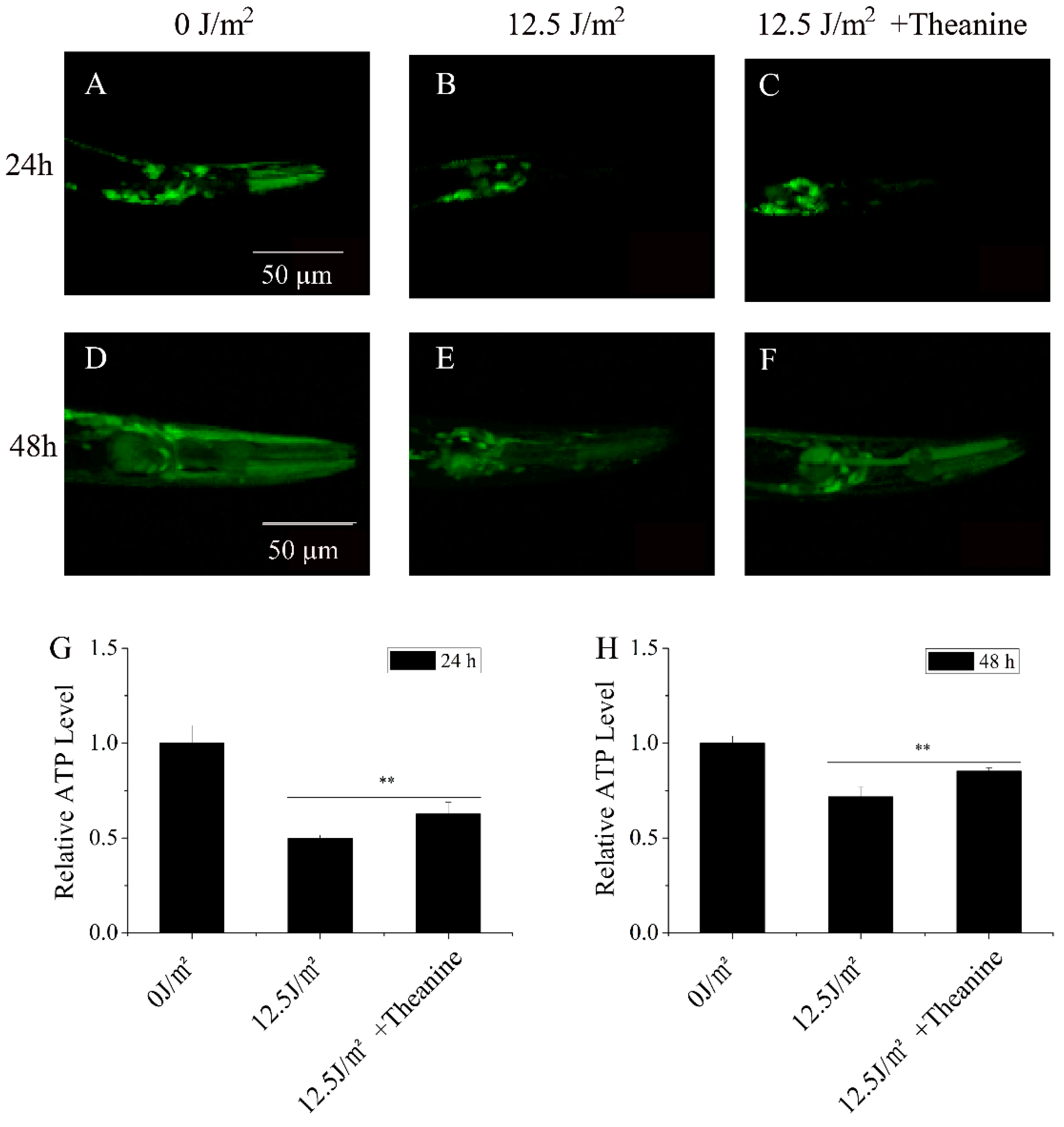 Preprints 102936 g004