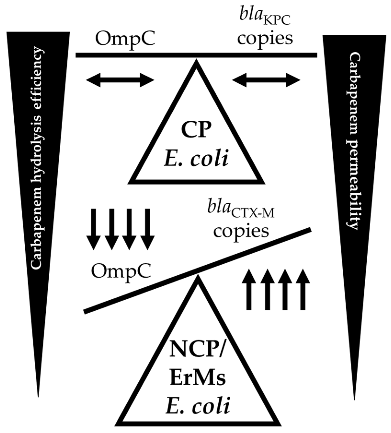 Preprints 95278 g004