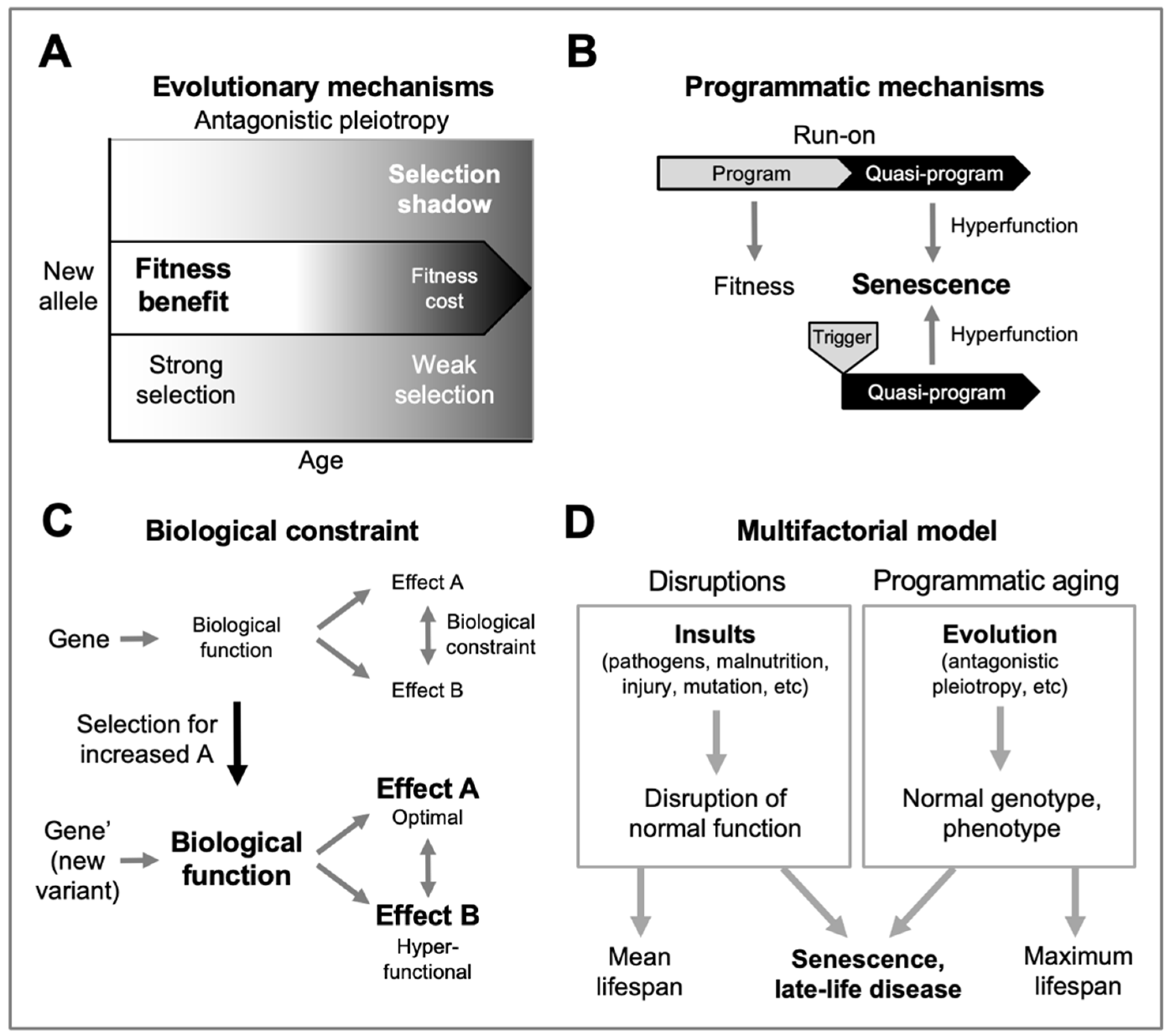 Preprints 118300 g001