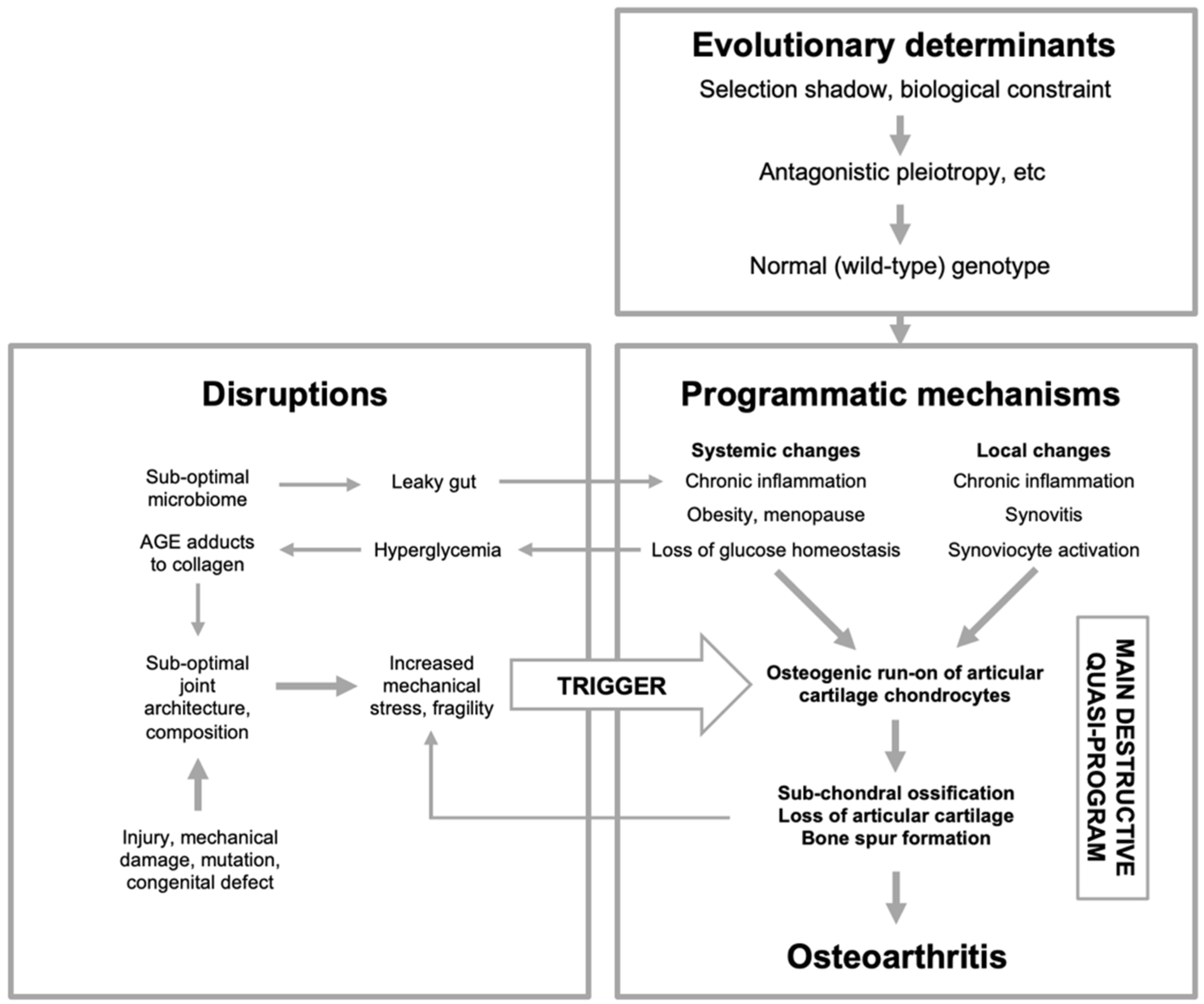 Preprints 118300 g005