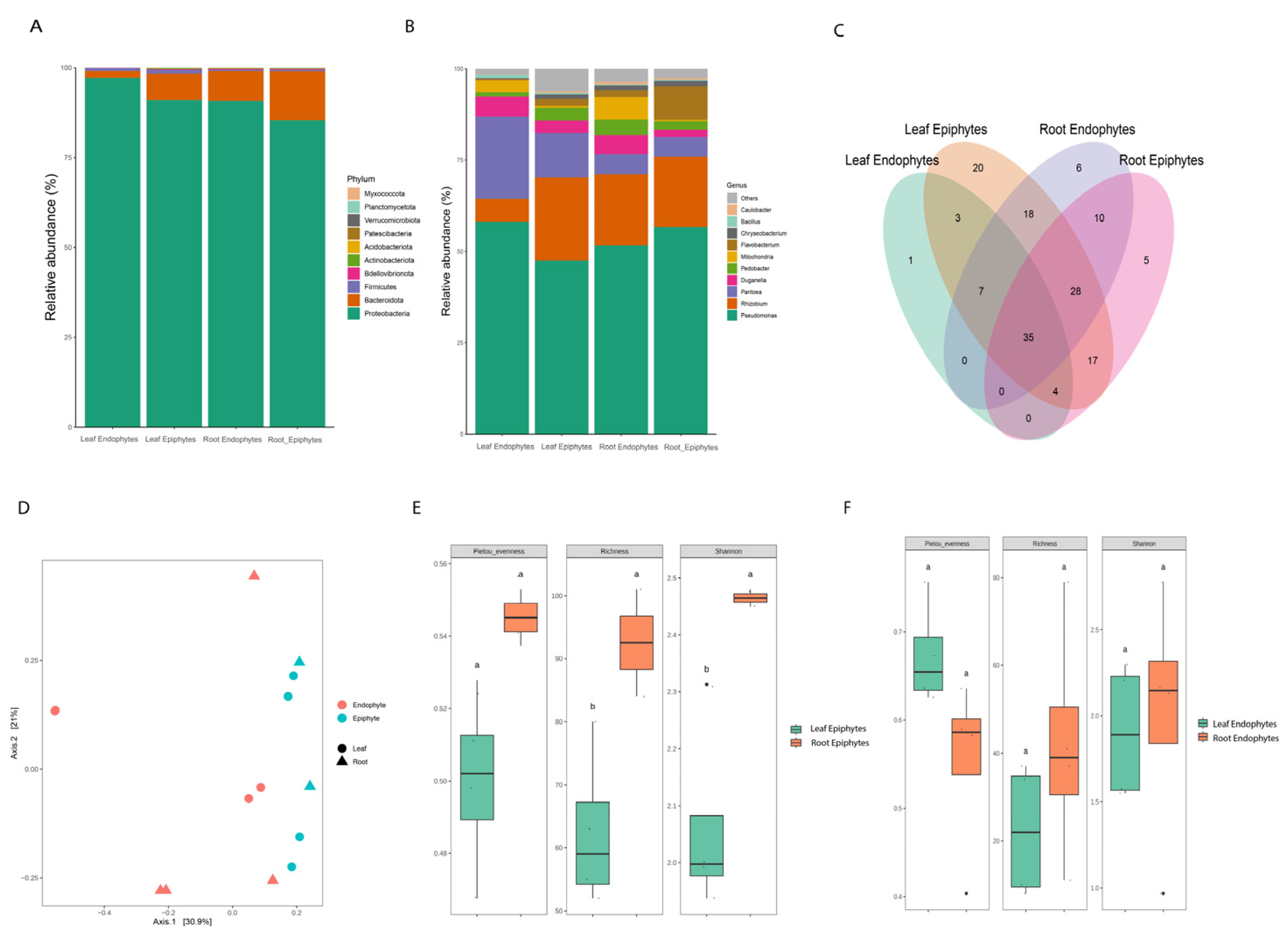 Preprints 110886 g001