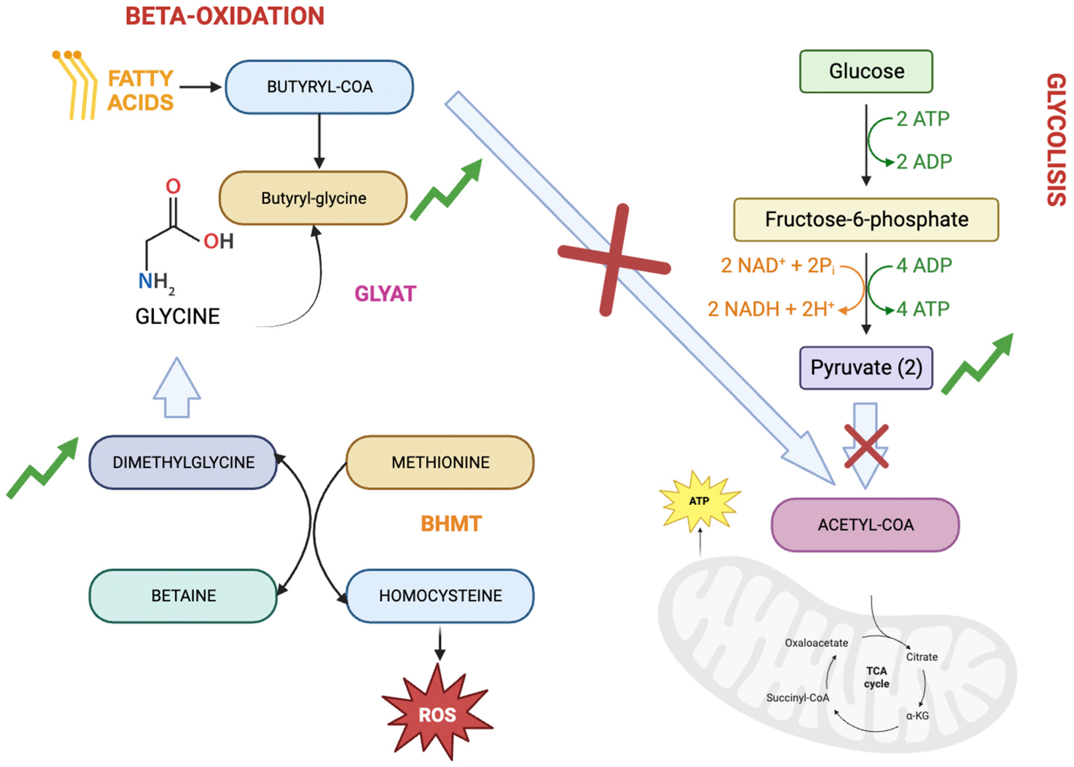 Preprints 98610 g003