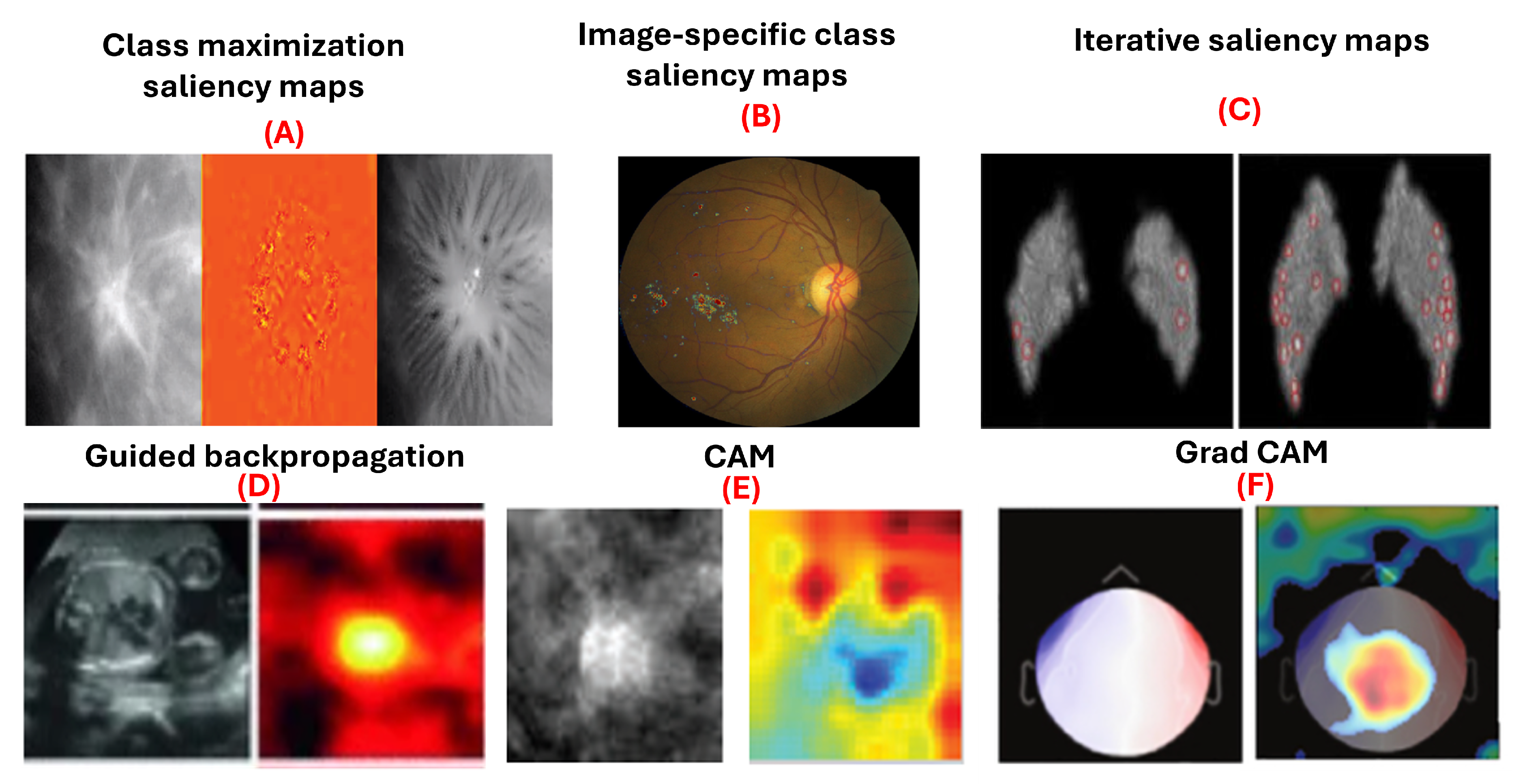 Preprints 114852 g004