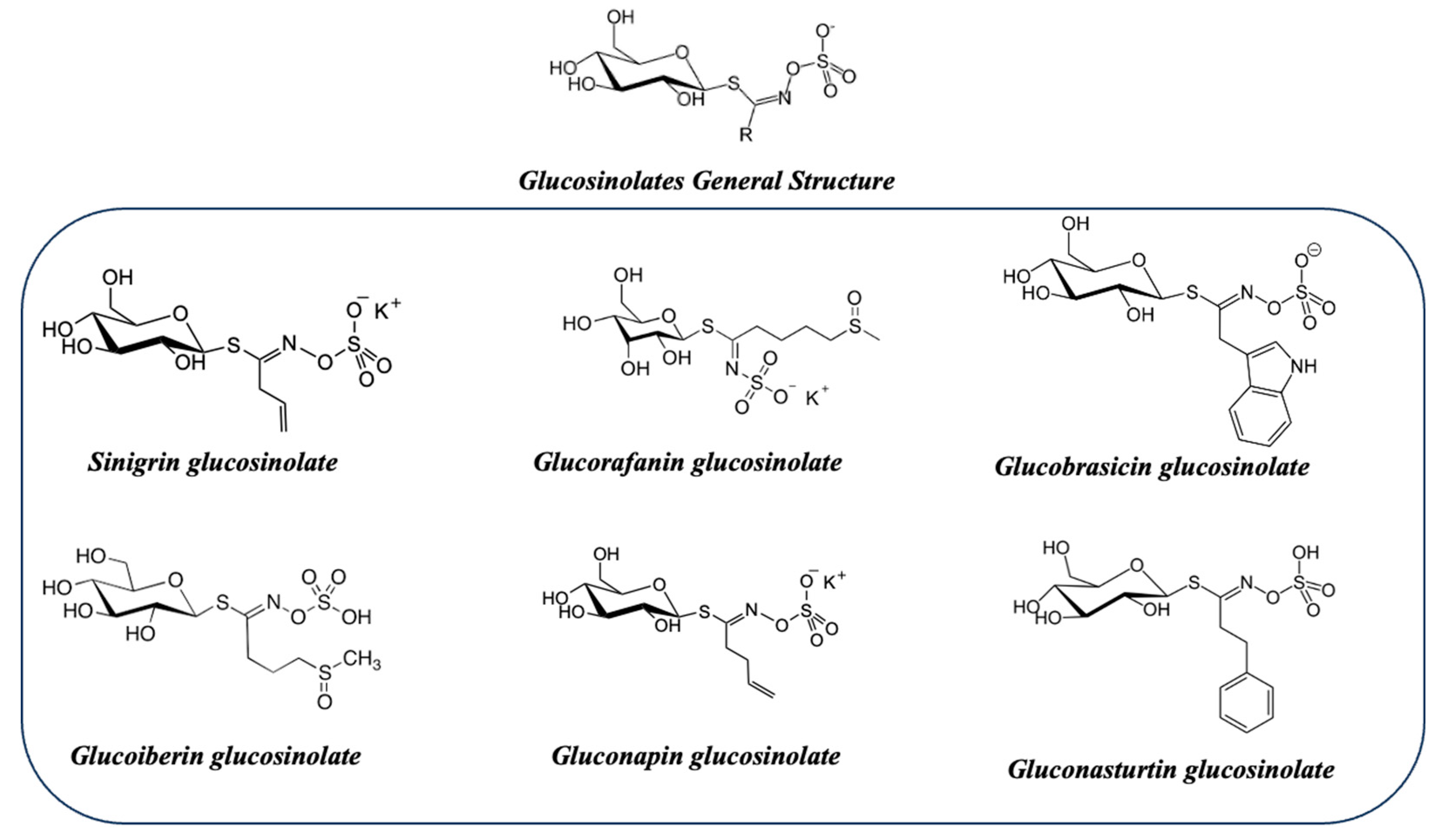 Preprints 82319 g010