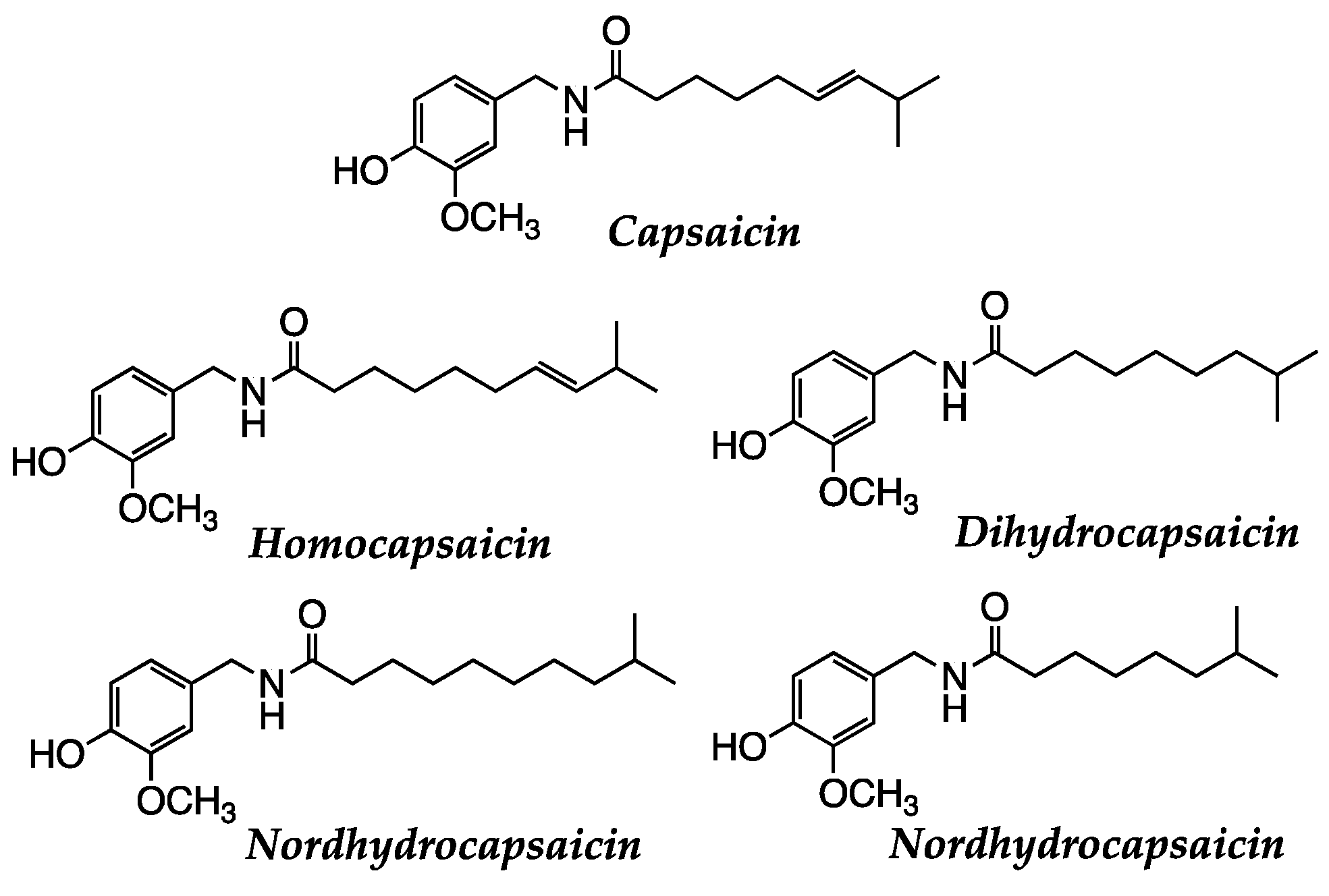 Preprints 82319 g015